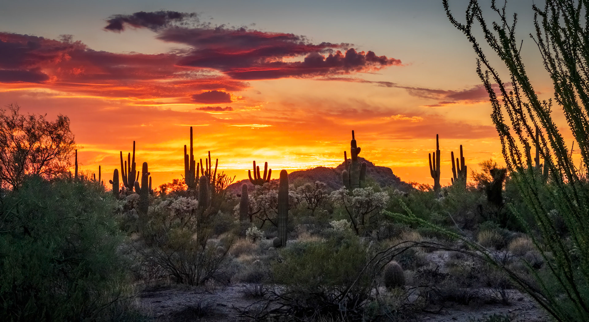 Awe-Inspiring Desert Sunset - Usery Mountain Regional Park