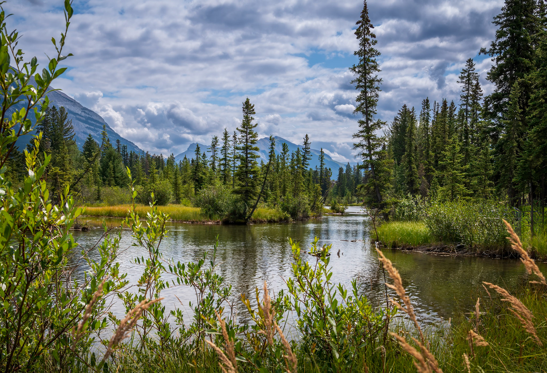 Canadian Rocky Dreamscape - Policeman's Creek in Canmore, AB