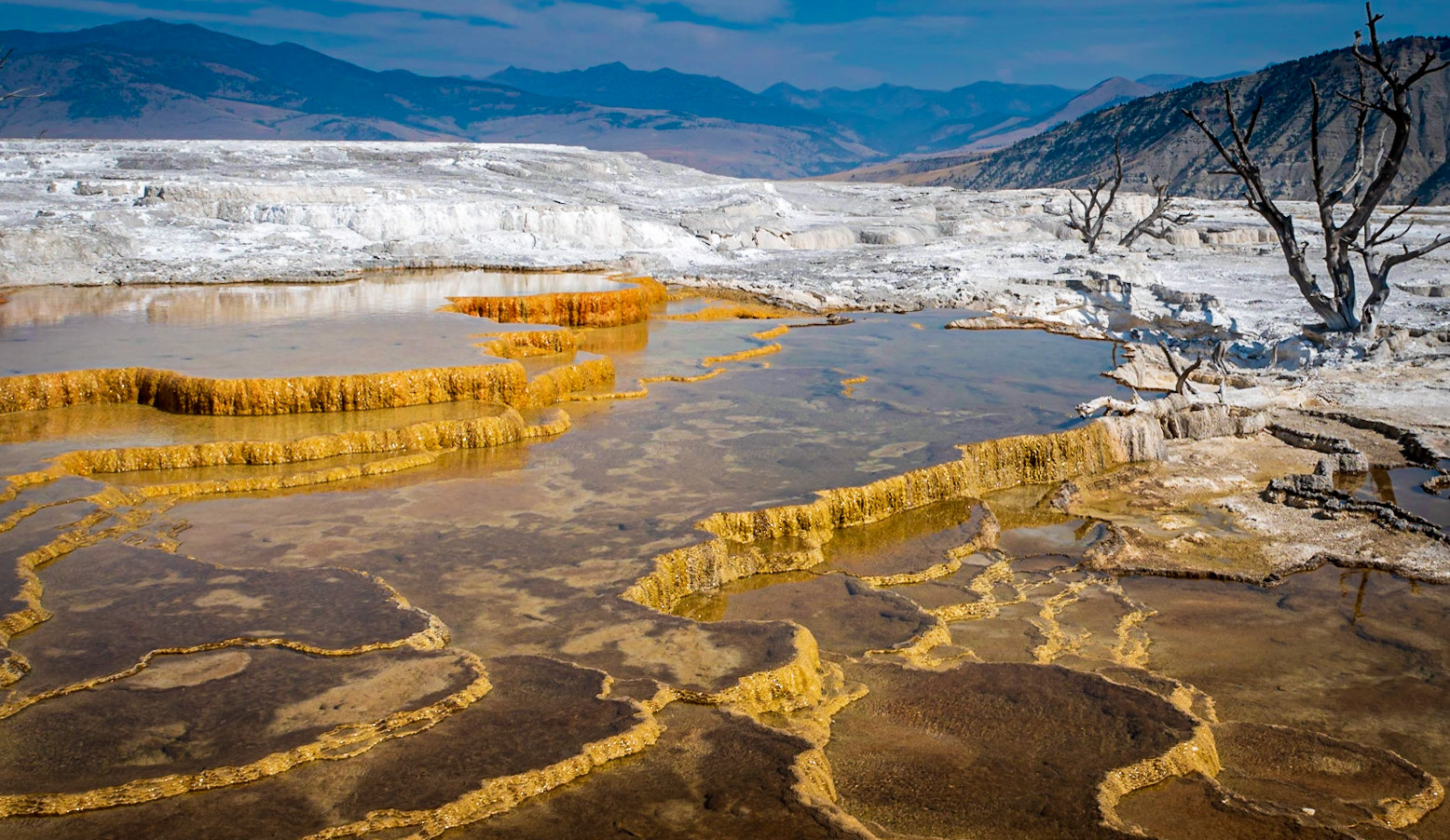 Other Worldly - The unique and amazing travertine formations of Mammoth Hot Springs in Yellowstone National Park