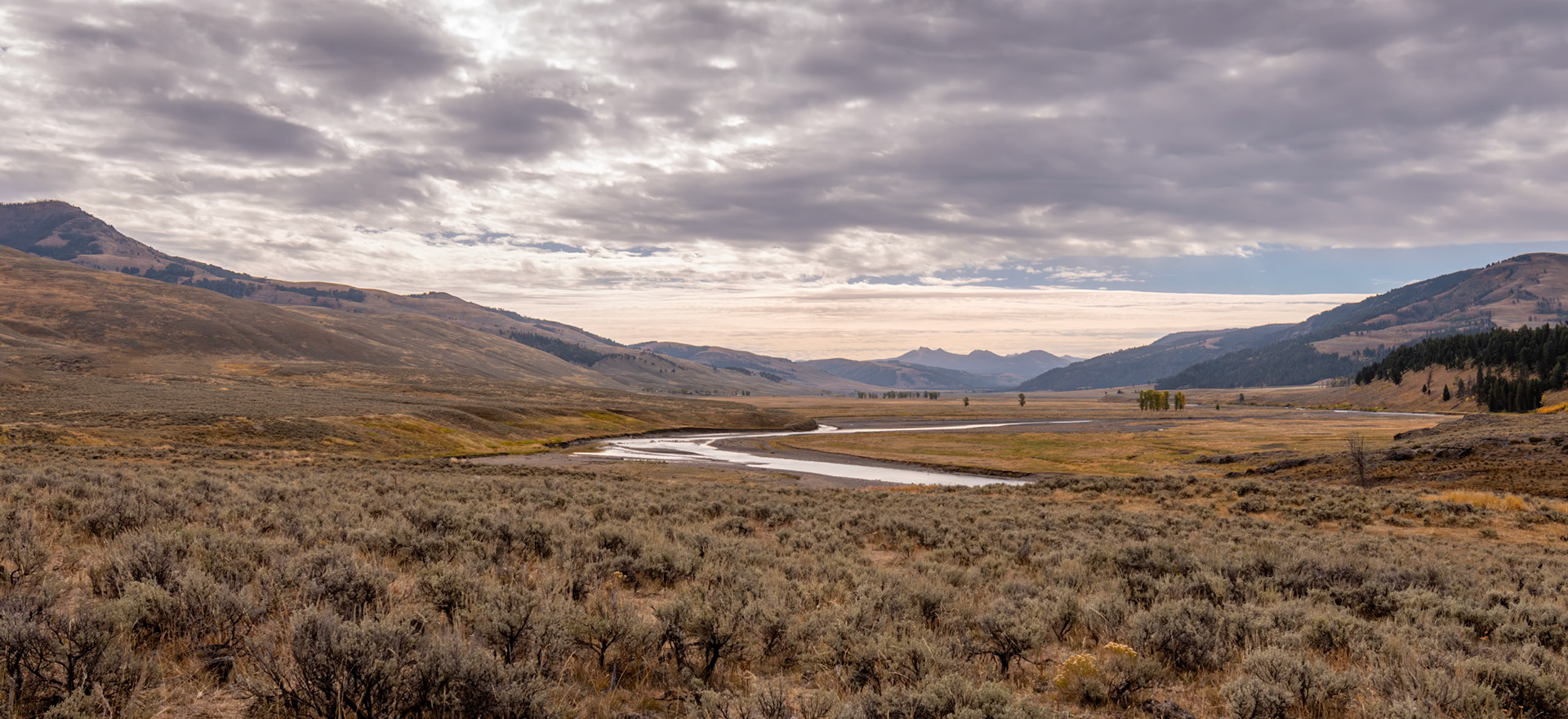 Meandering Through The Valley - The Soda Butte Creek streams through the Lamar Valley