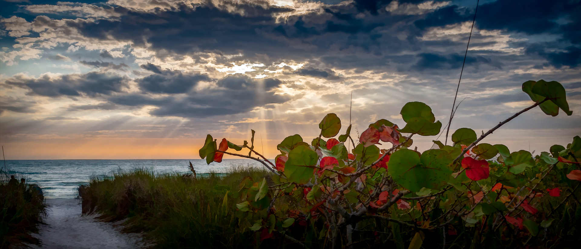 Light On the Horizon!   Sunset on Siesta Key