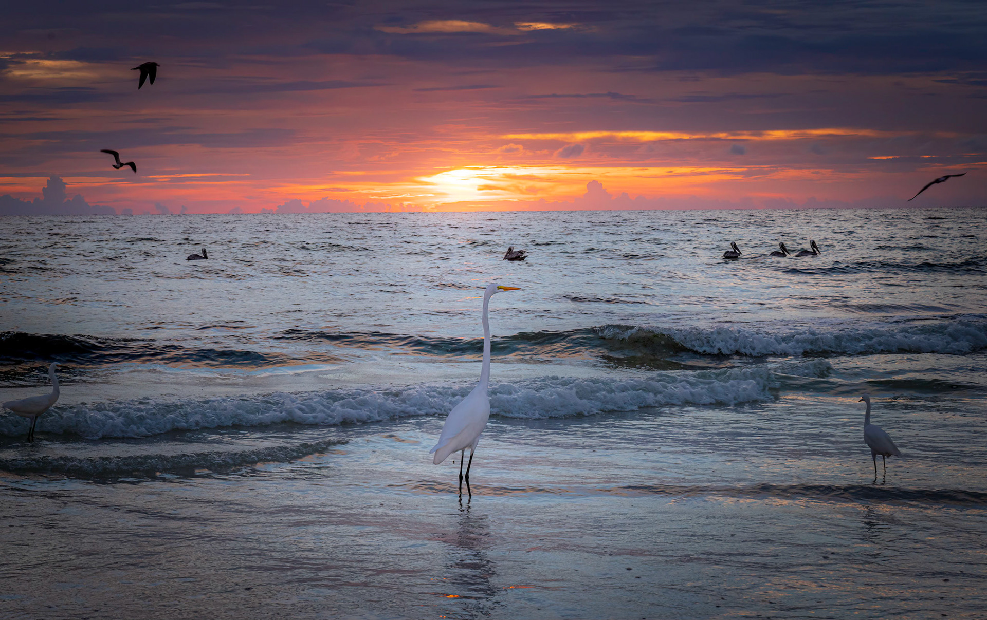 Tranquility At Sunset - Siesta Key