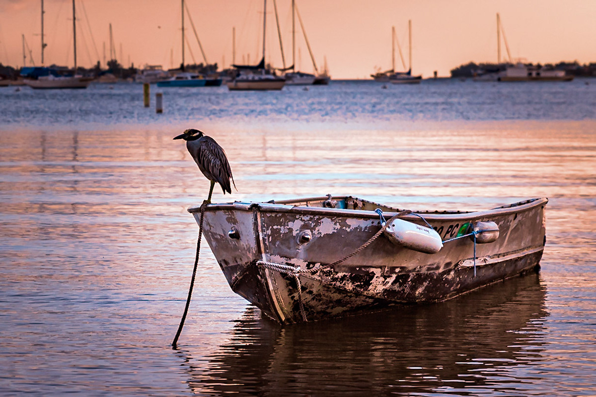Call It A Day - On Sarasota Bay