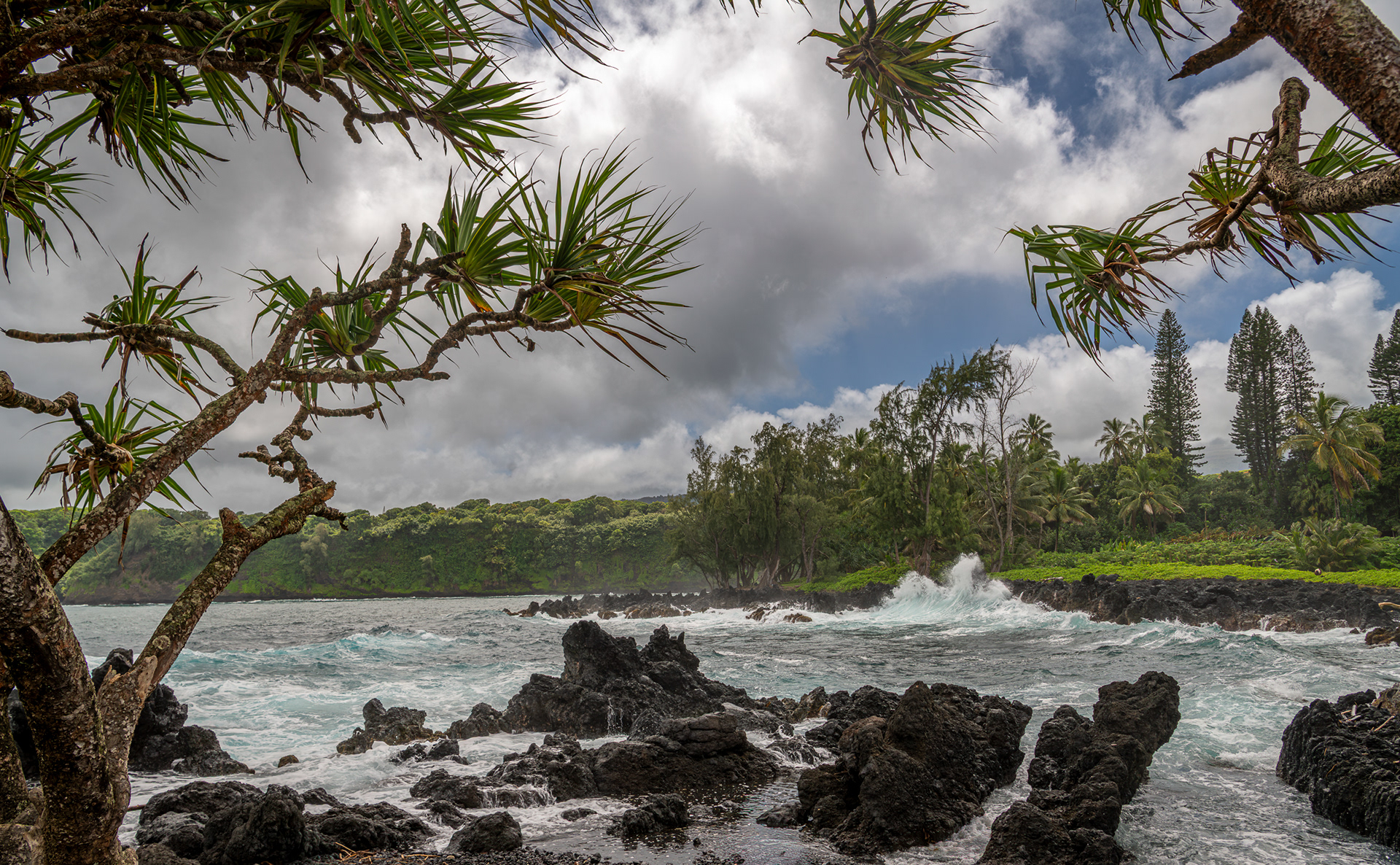 Tropical Paradise - The Ke' Anae Peninsula, along the Road to Hana on Maui