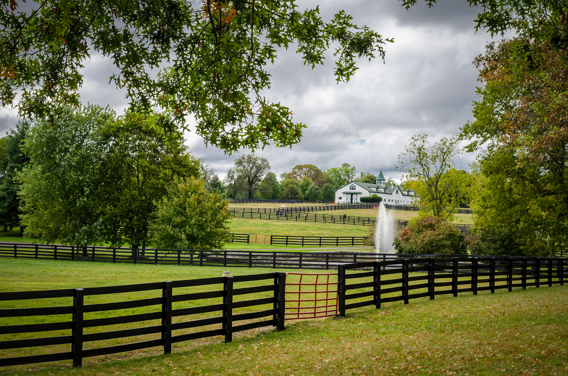 Thoroughbred Heaven - Lexington, Kentucky