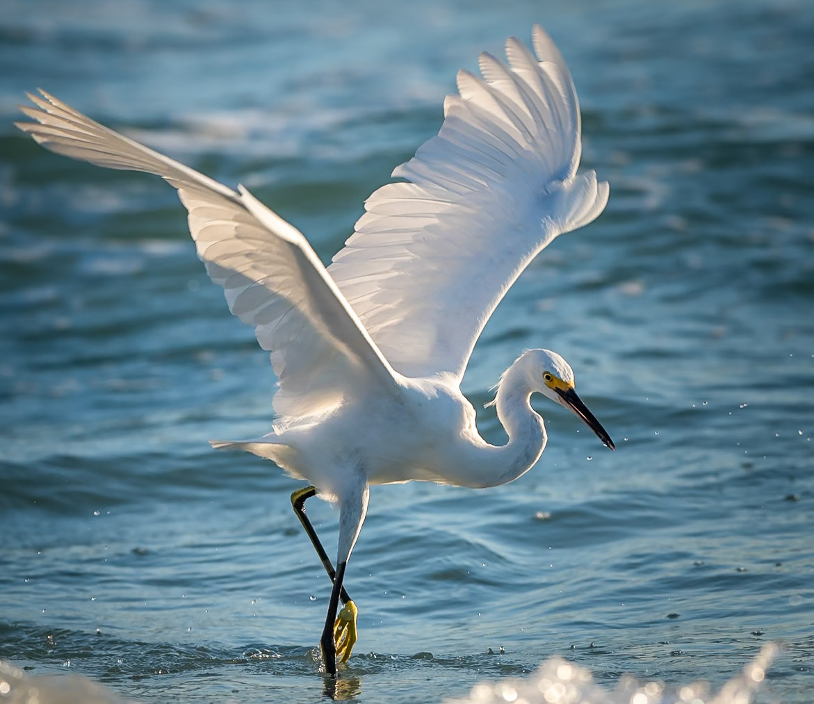 Dancing Through The Waves