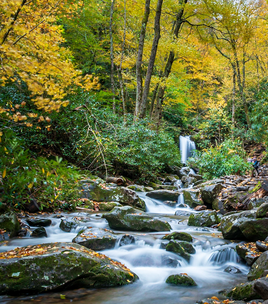 Grotto Falls