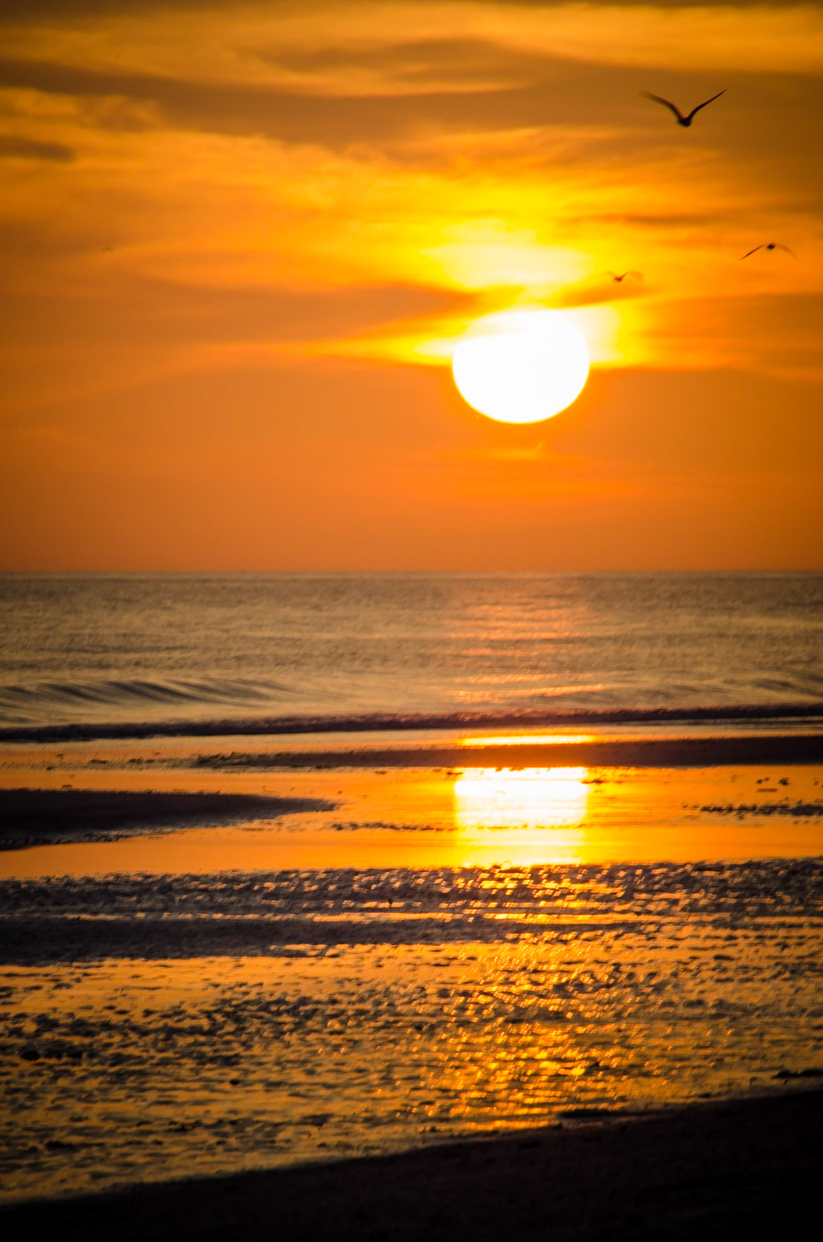 © Michael Smith Photography