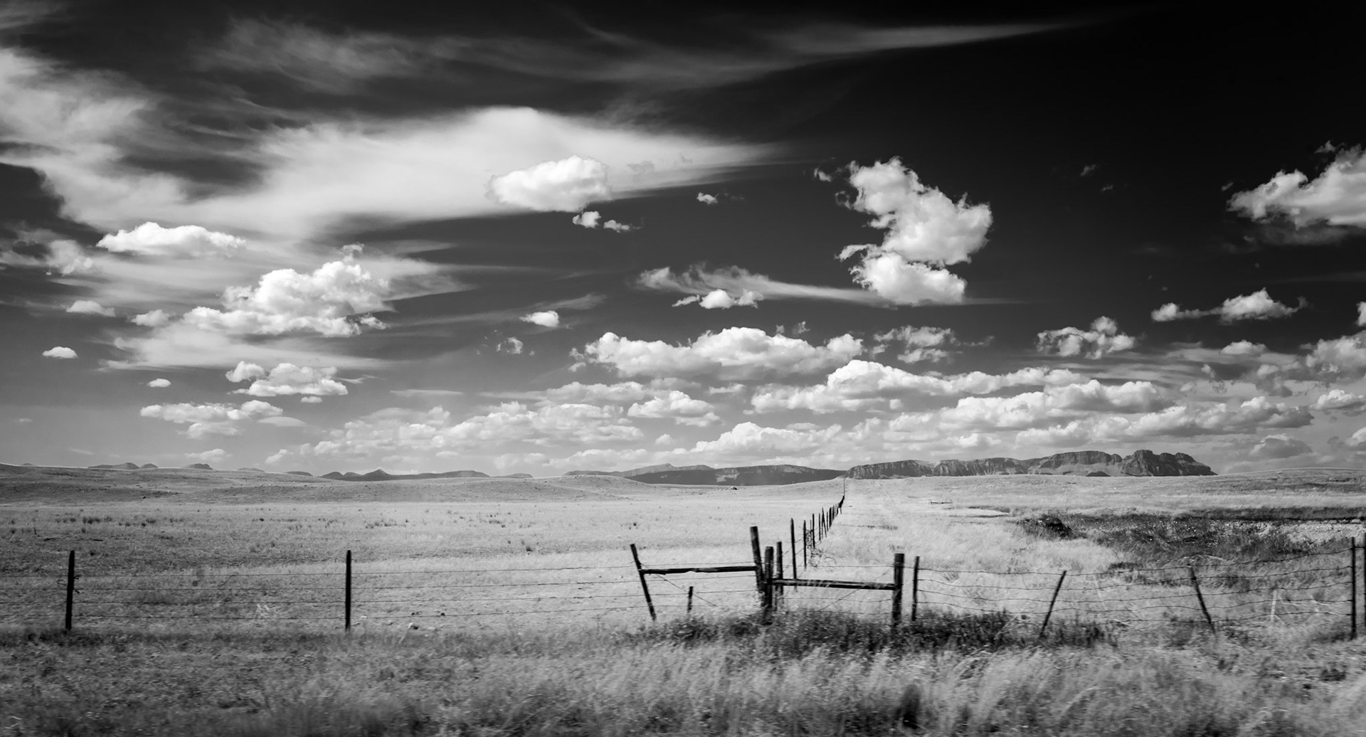 Infinite Horizon - On the road to Yellowstone in Montana