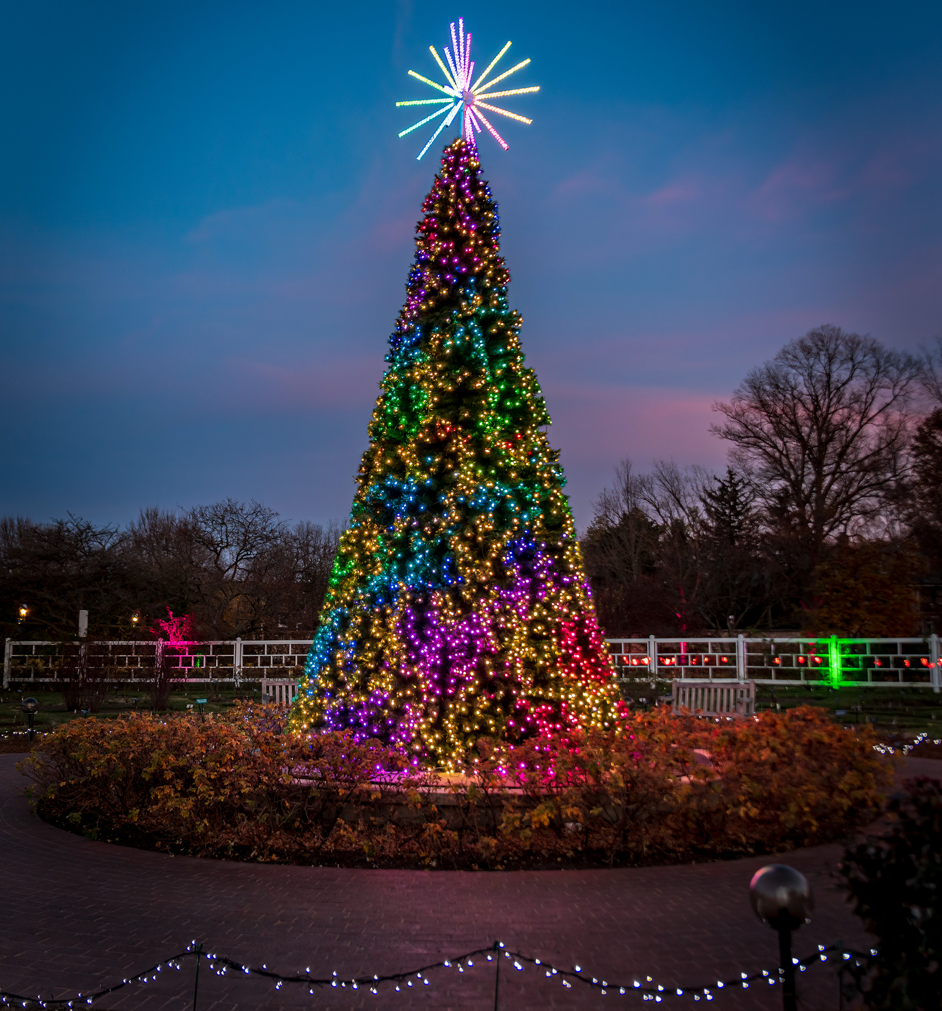Garden Glow 2021 at the Missouri Botanical Garden