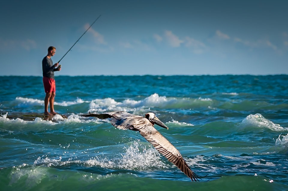 Different Styles of Fishing