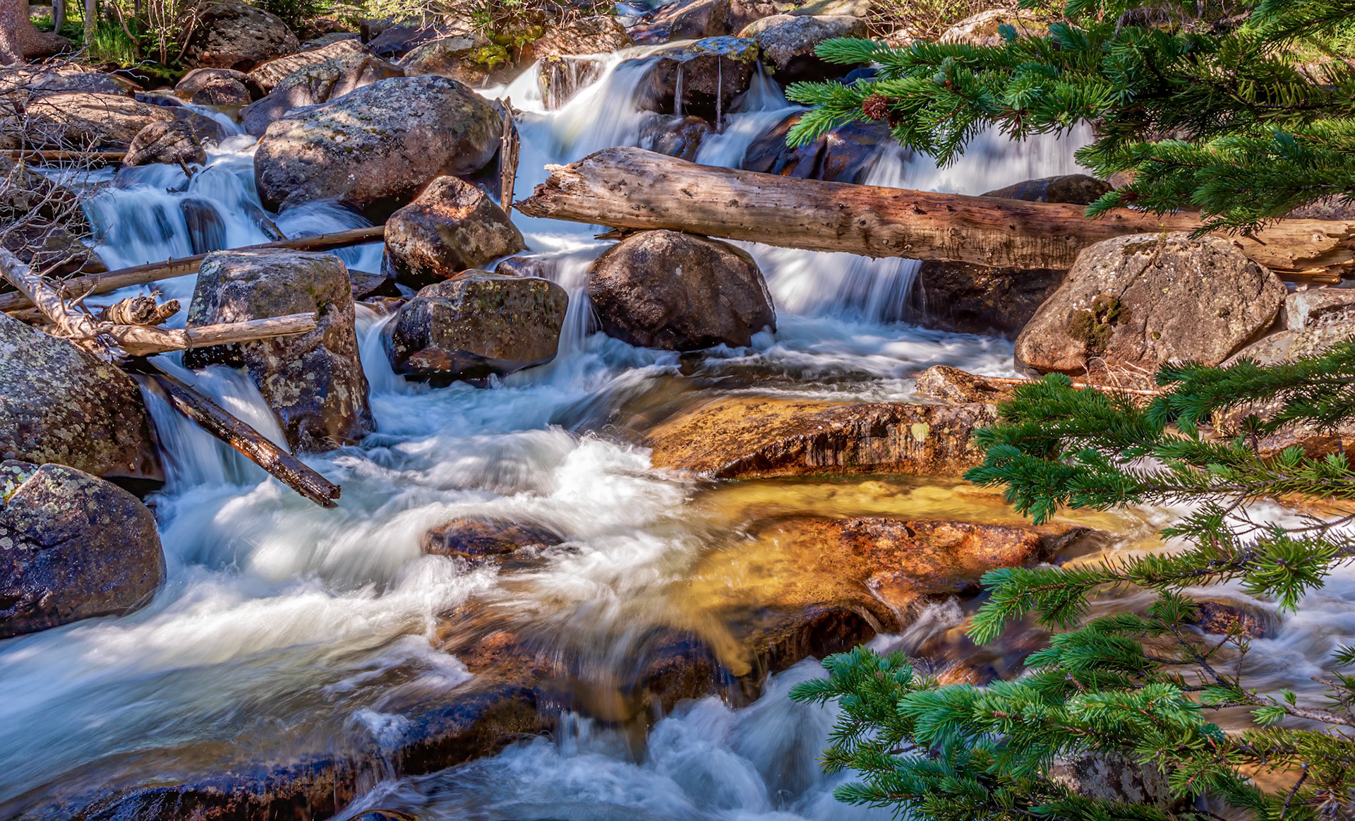 My Favorite Kind of Streaming - Hypnotic alpine stream