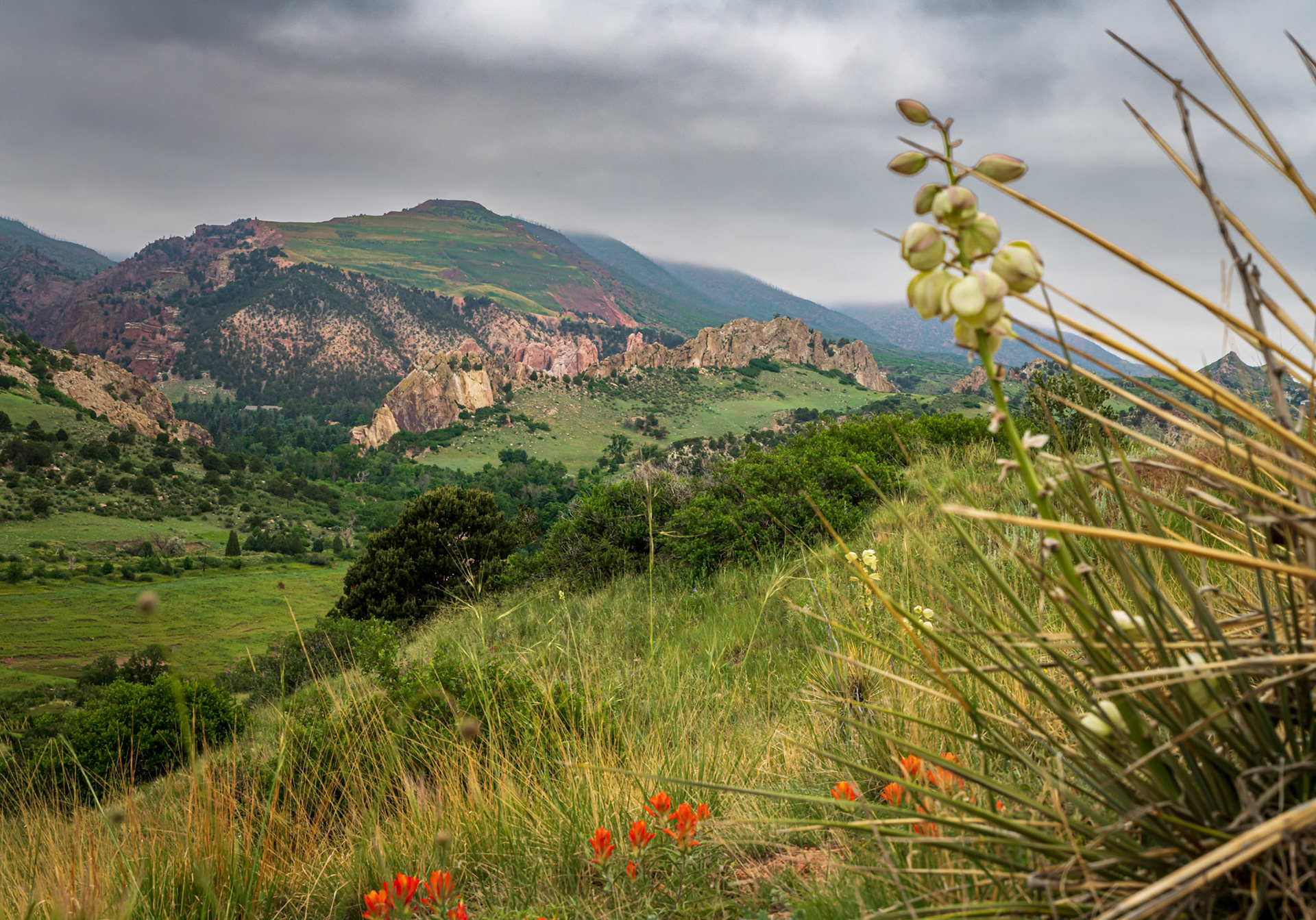 Enchanting Flora and Contours of the Garden of the Gods - Colorado Springs, CO