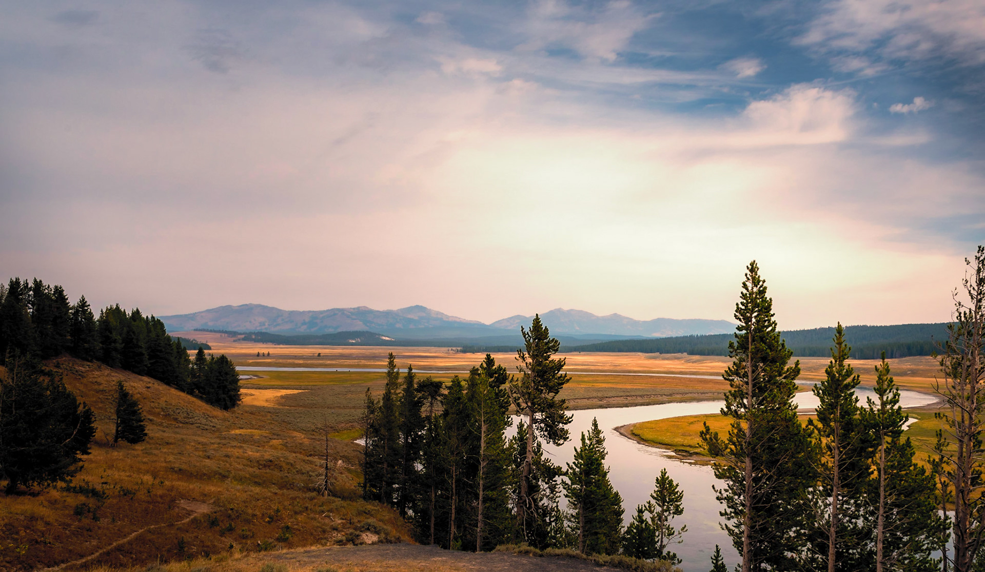 Hayden Valley Landscape