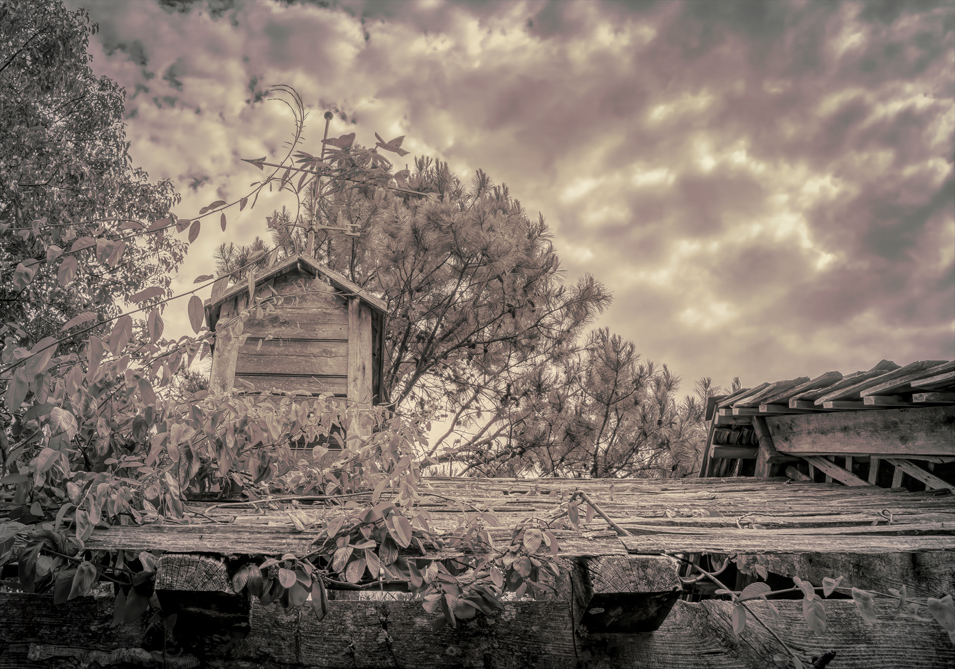 One With Nature
