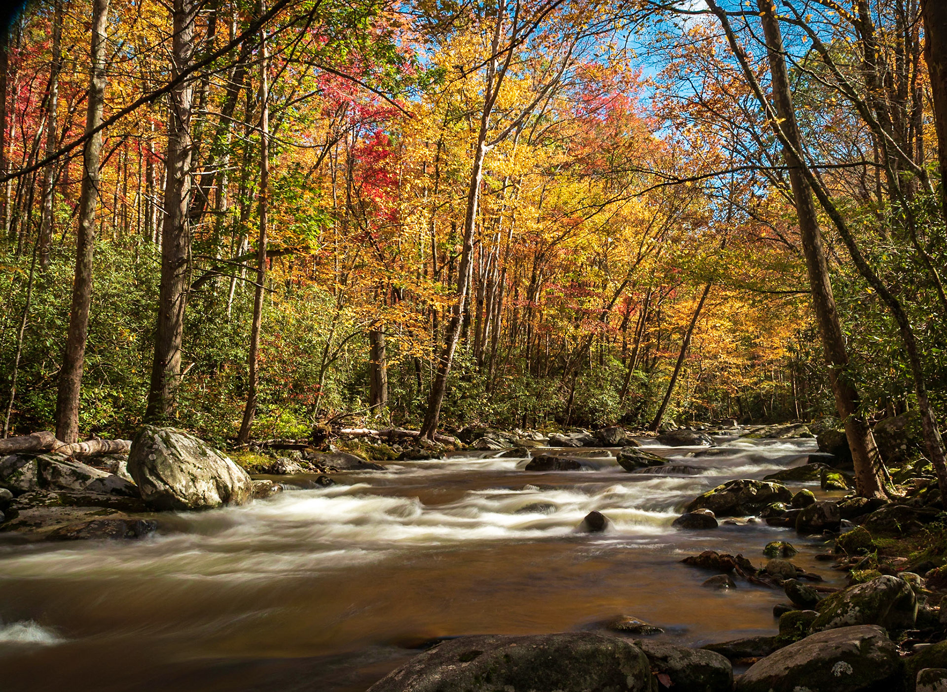 Fall Colors Along the Little River