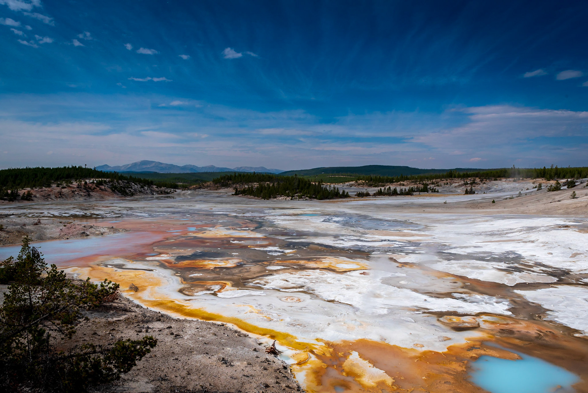Norris Geyser Basin