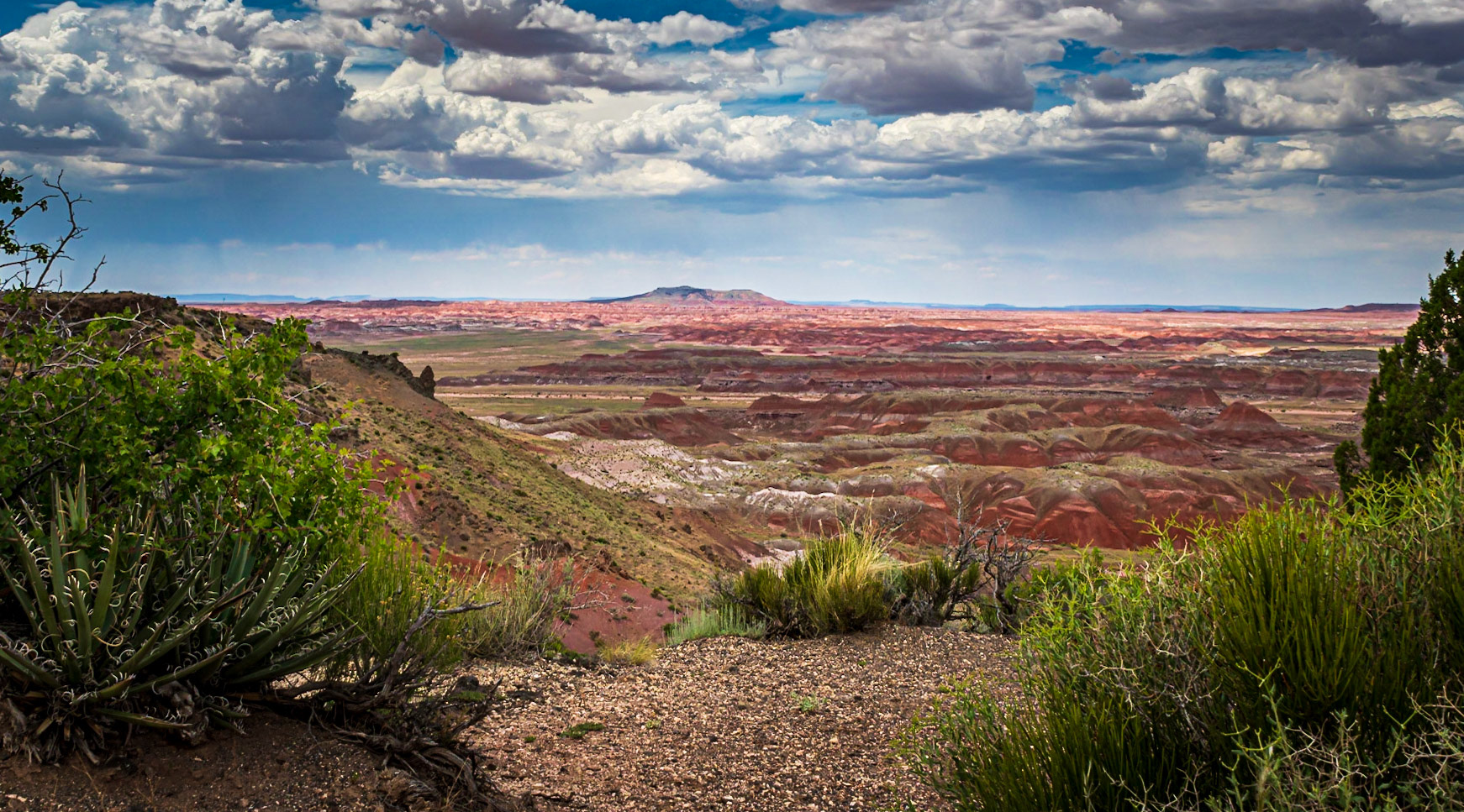 Storms On The Painted Desert Horizon - In the Petrified Forest Narional Park