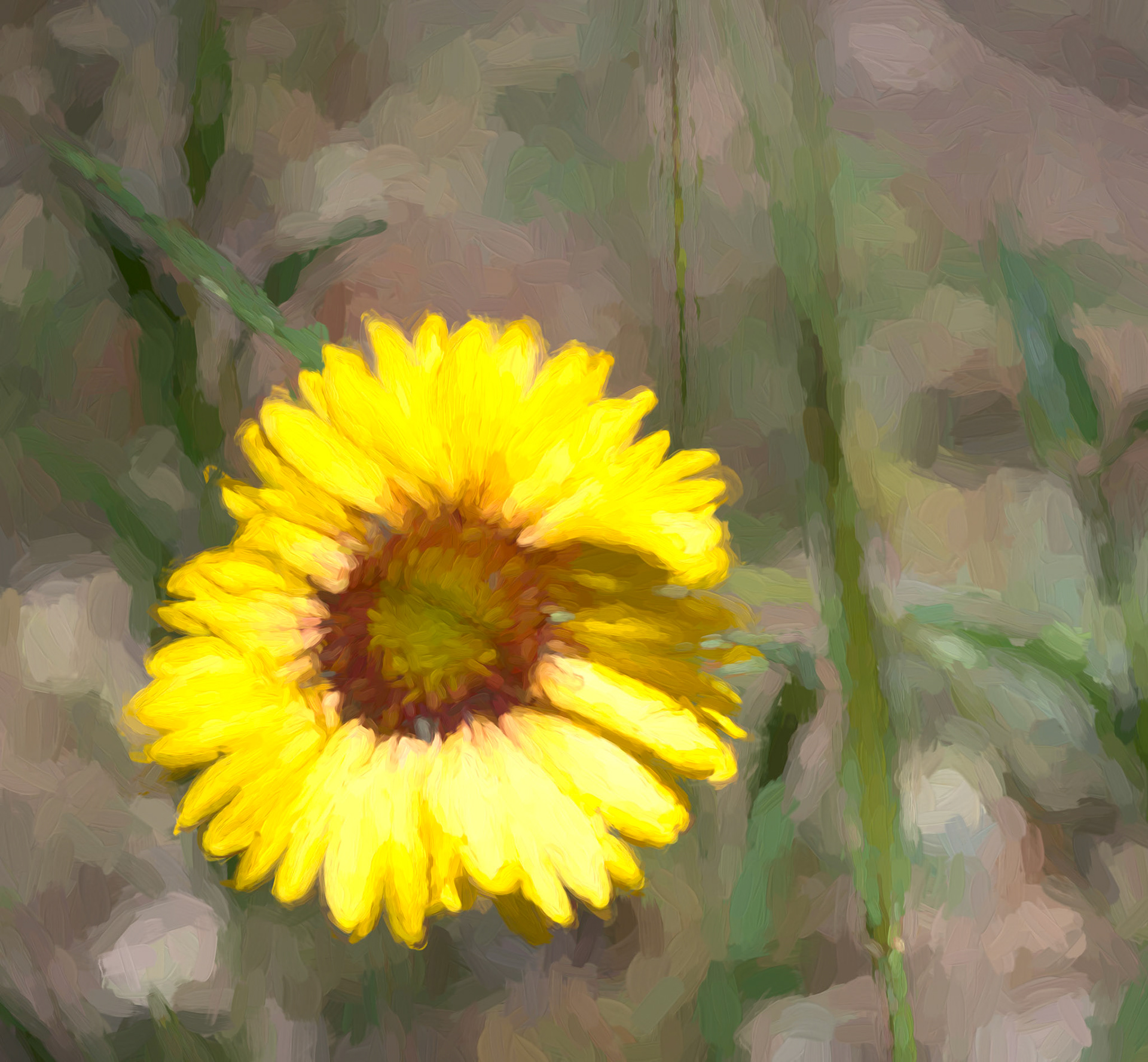 Rocky Mountain Wildflower - painterly rendering with Topaz Impression
