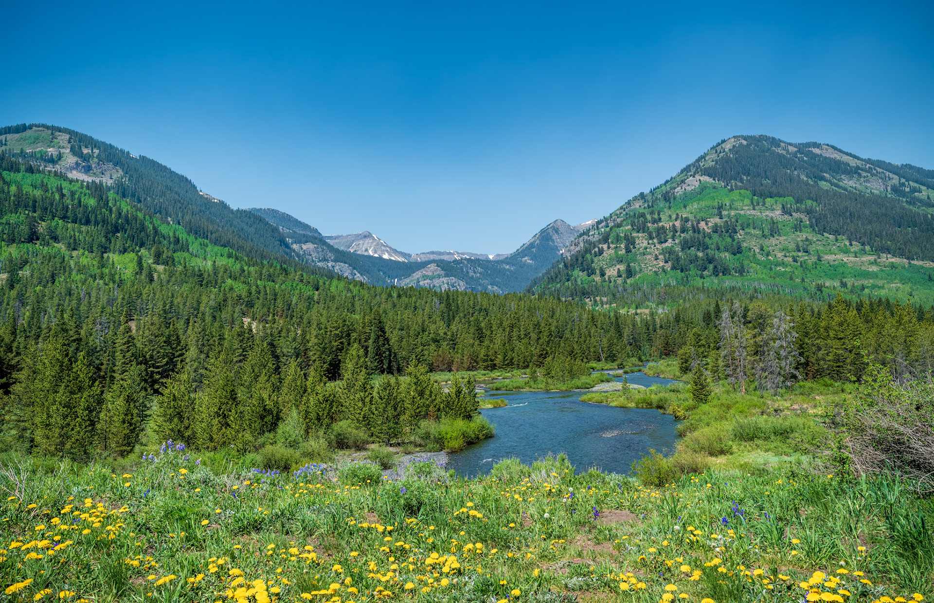 Alpine Dream - Just another breathtaking vista of the Colorado Rockies near Crested Butte