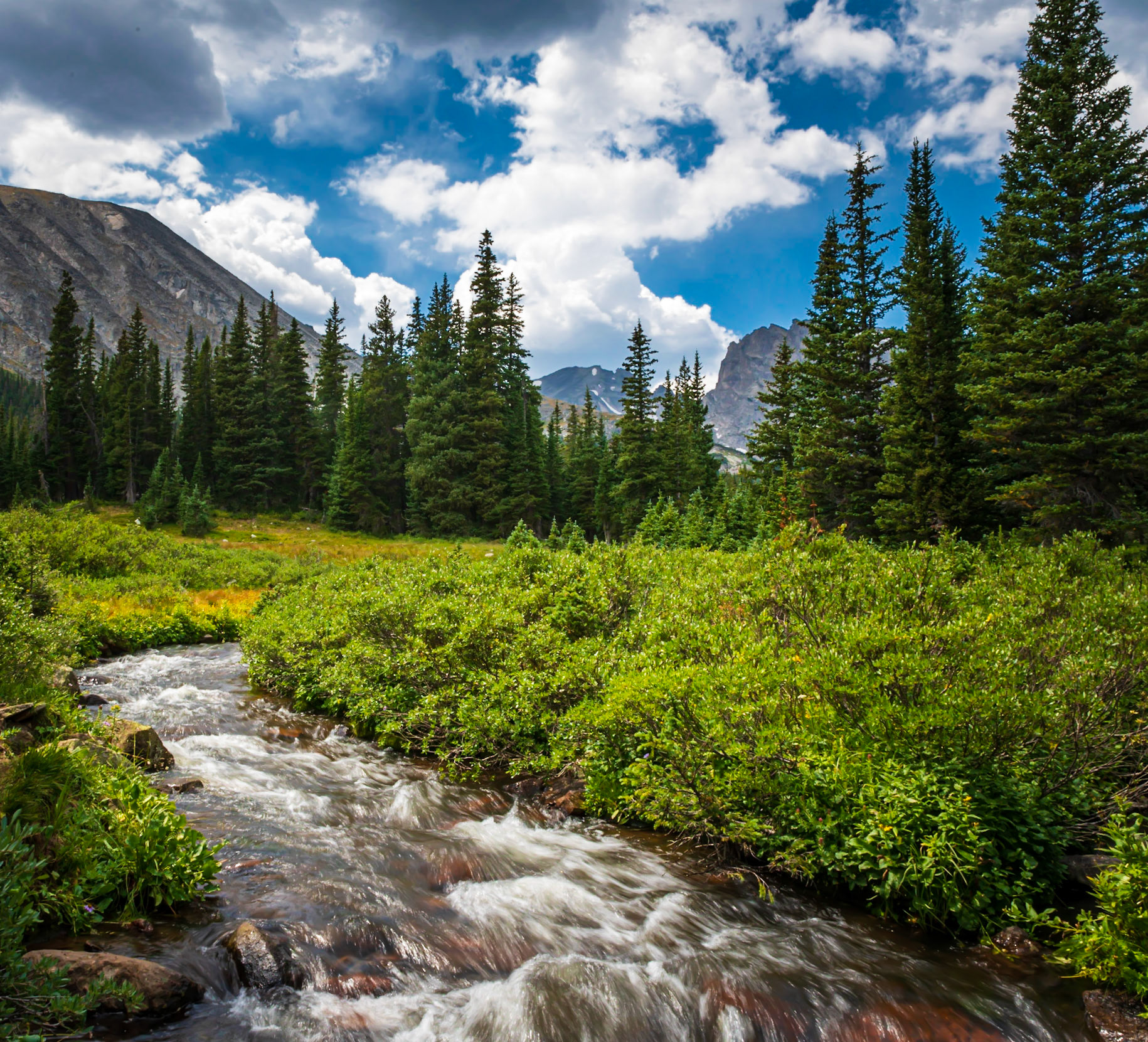 Alpine Stream Thru the Colorado Rockies - South Saint Vrain Creek in the Brainard Lake Recreation Area