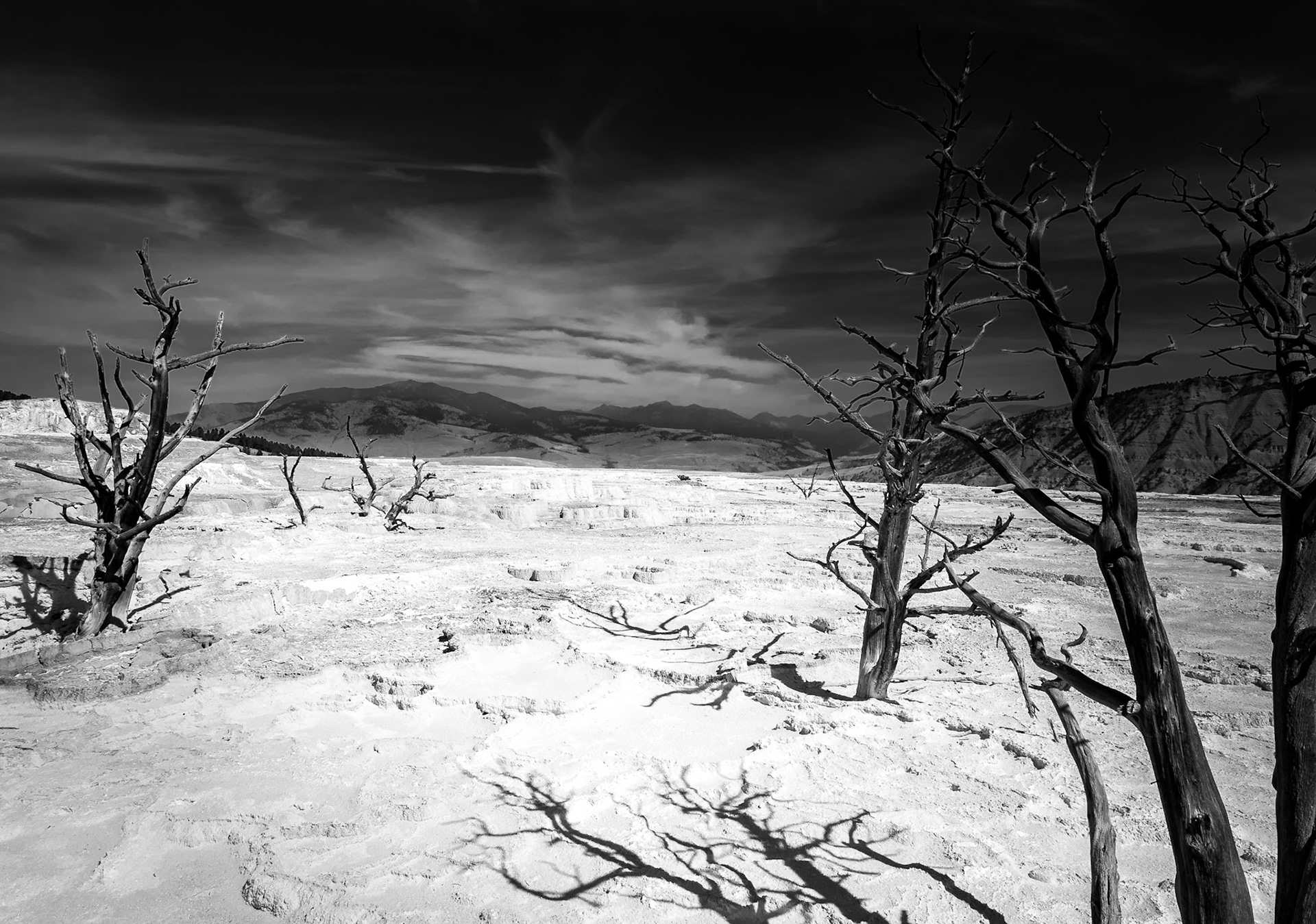 Moon-like Landscape in Mammoth Hot Springs - Yellowstone National Park
