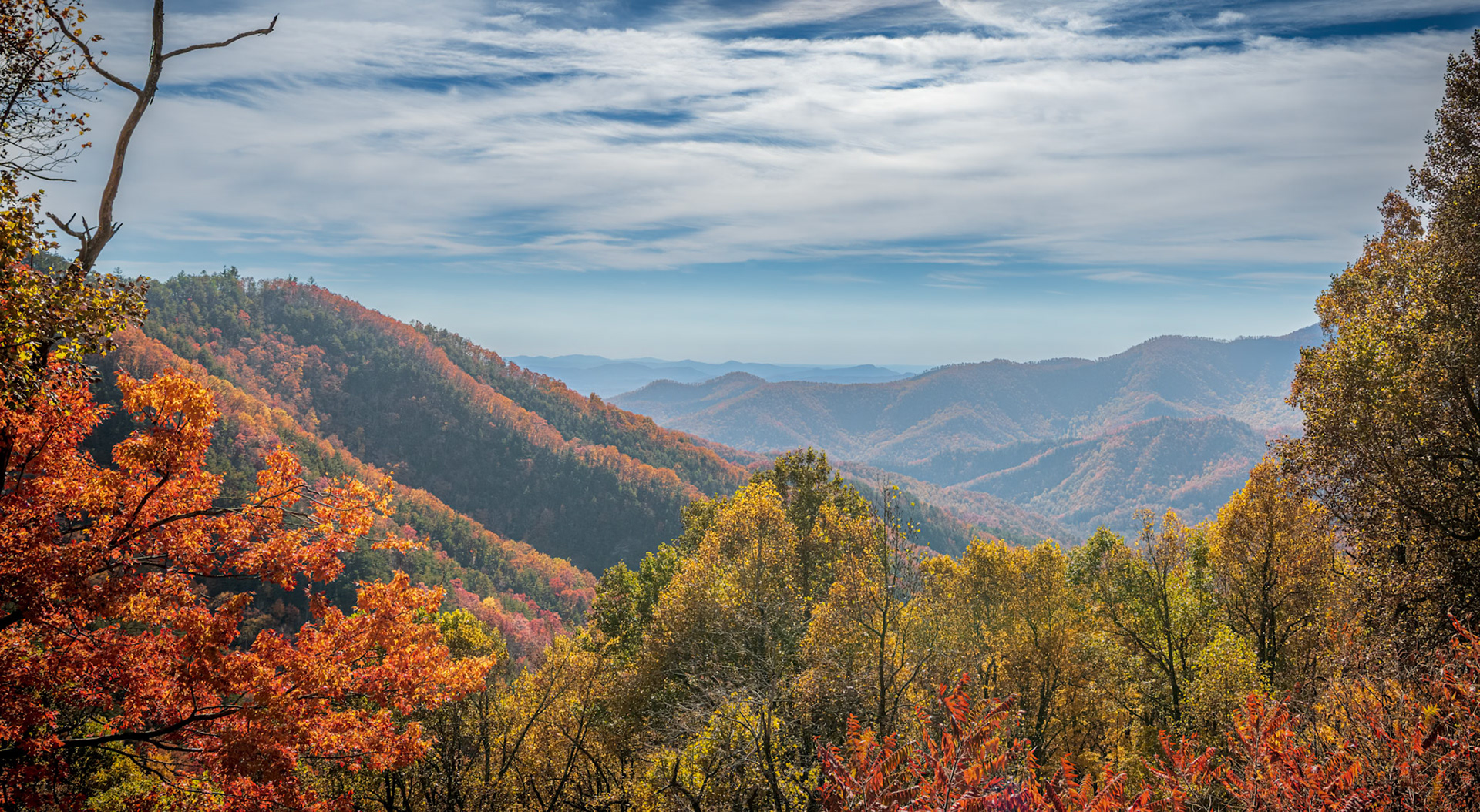 Fall on the Blue Ridge Parkway
