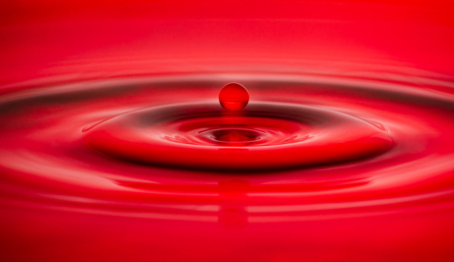 Red Pearl - waterdrop photography