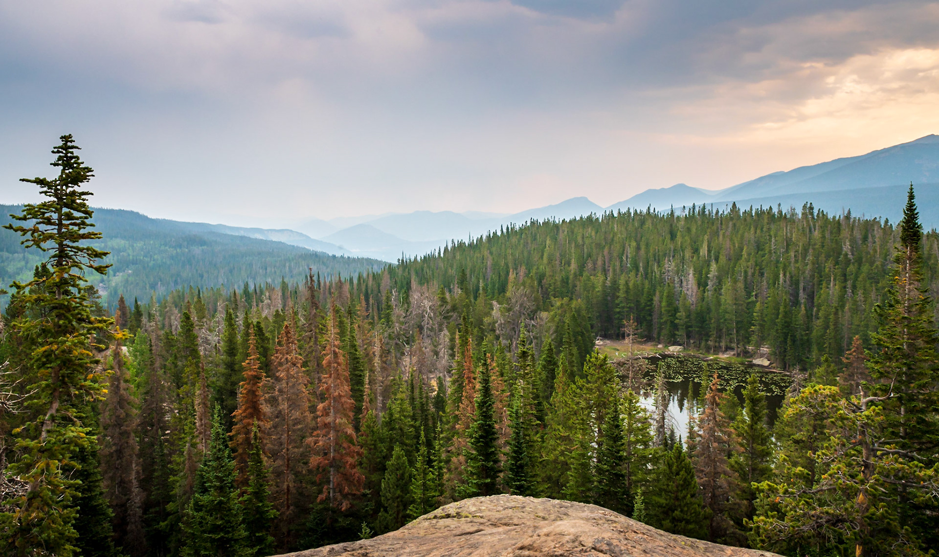 Overlooking Nymph Lake and the Rockies from the Bear Lake Trail