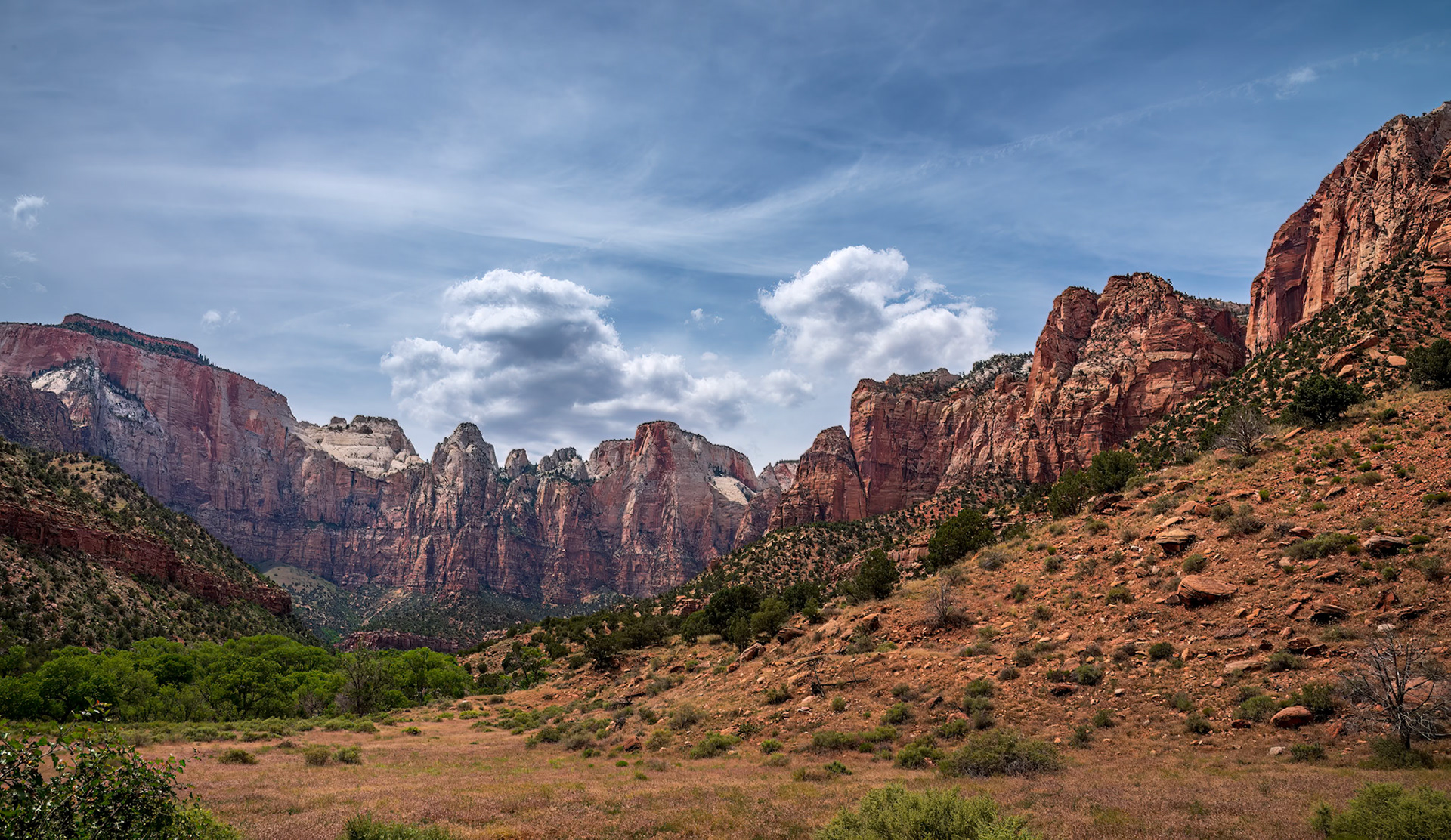 Colorful Sandstone Canyon Walls of Zion