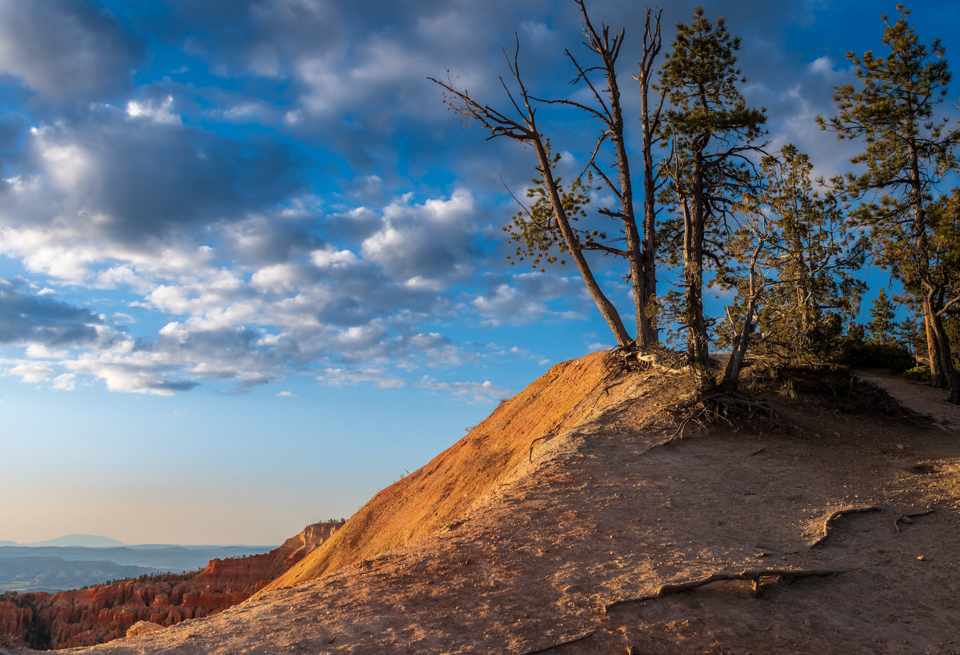 Morning Sun Brings Bryce Canyon To Life