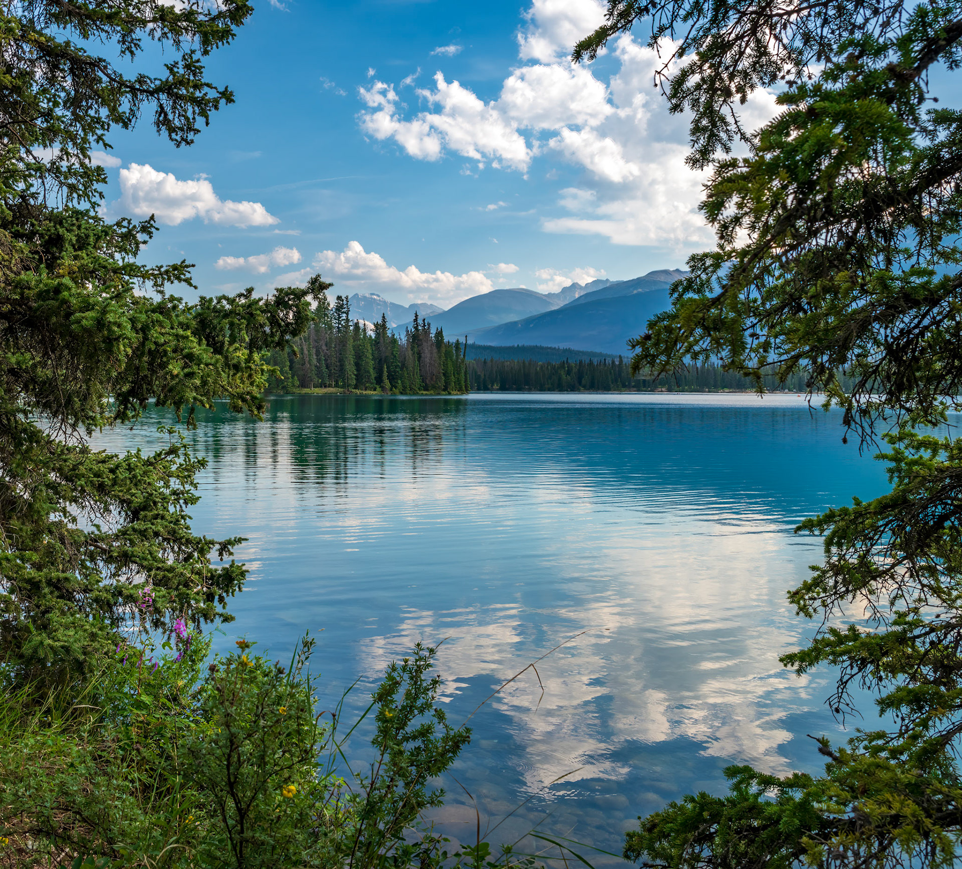 Untouched Beauty - Lake Beauvert, Jasper National Park