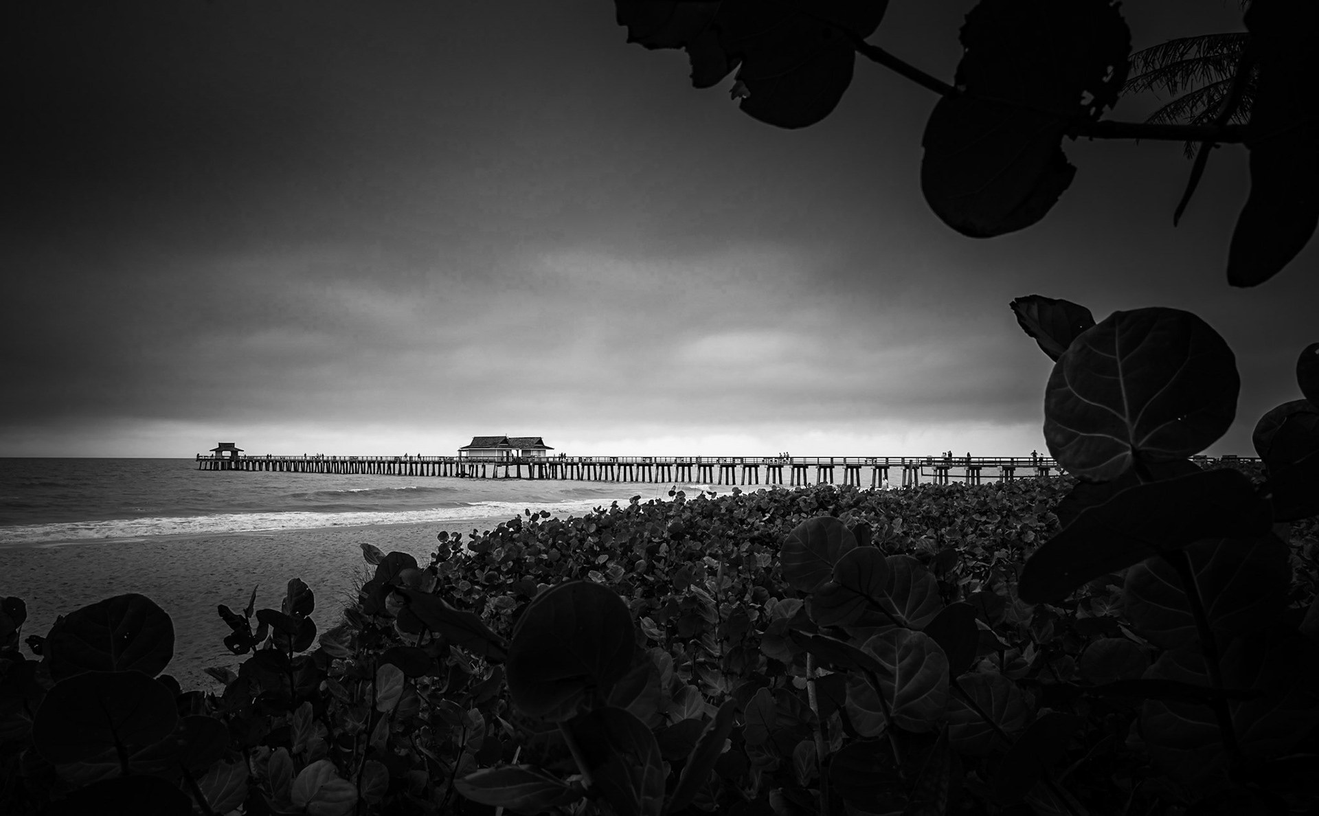 Moody Day At Naples Pier