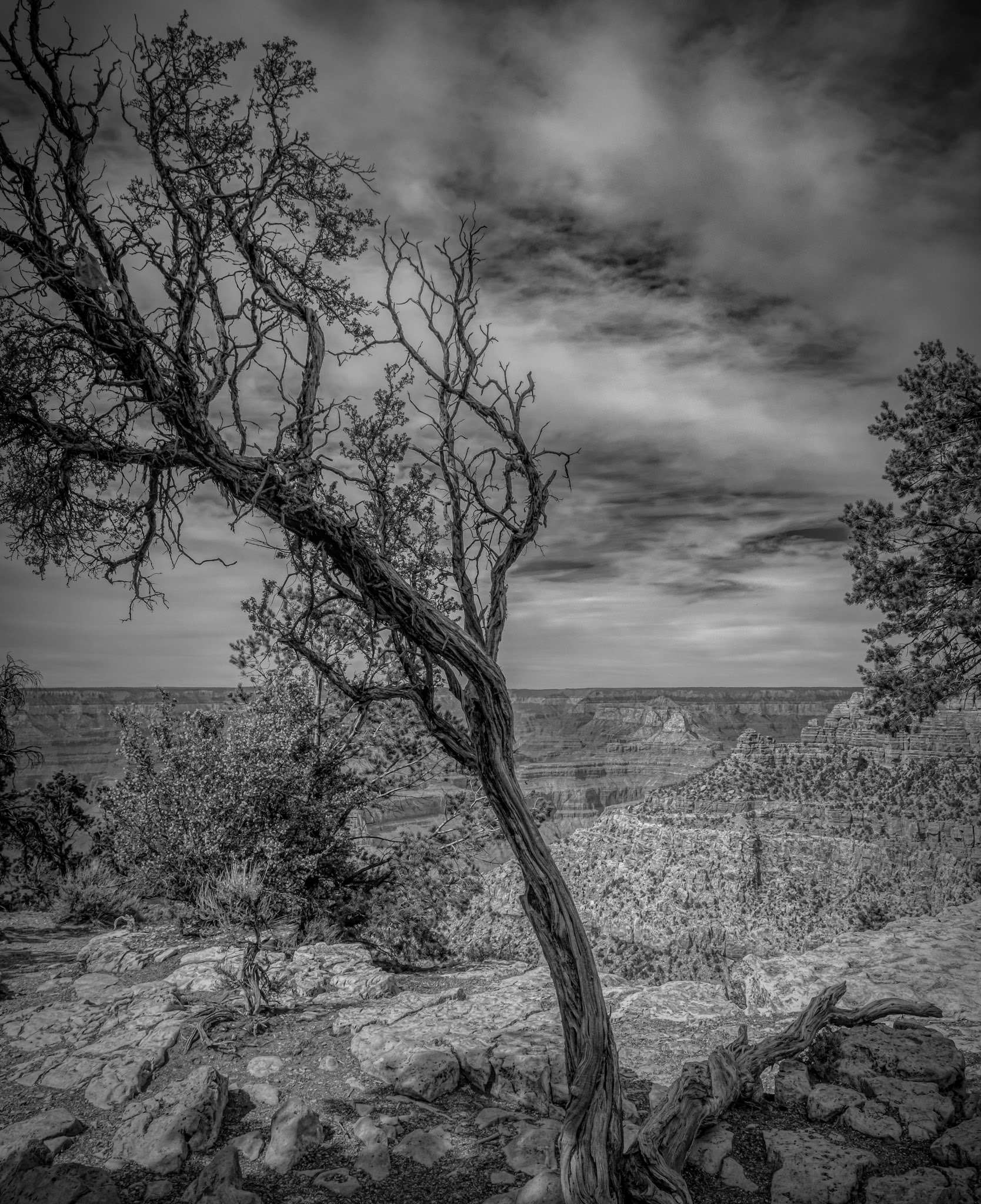 Nature's grandeur unveiled at the majestic Grand Canyon National Park