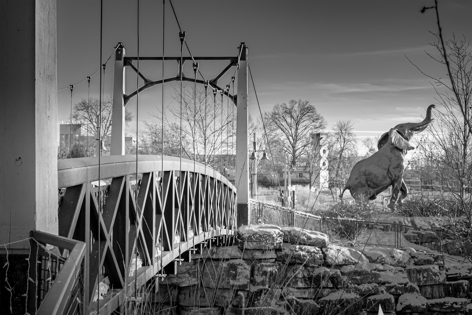 St Louis Zoo Cityscape in Black and White