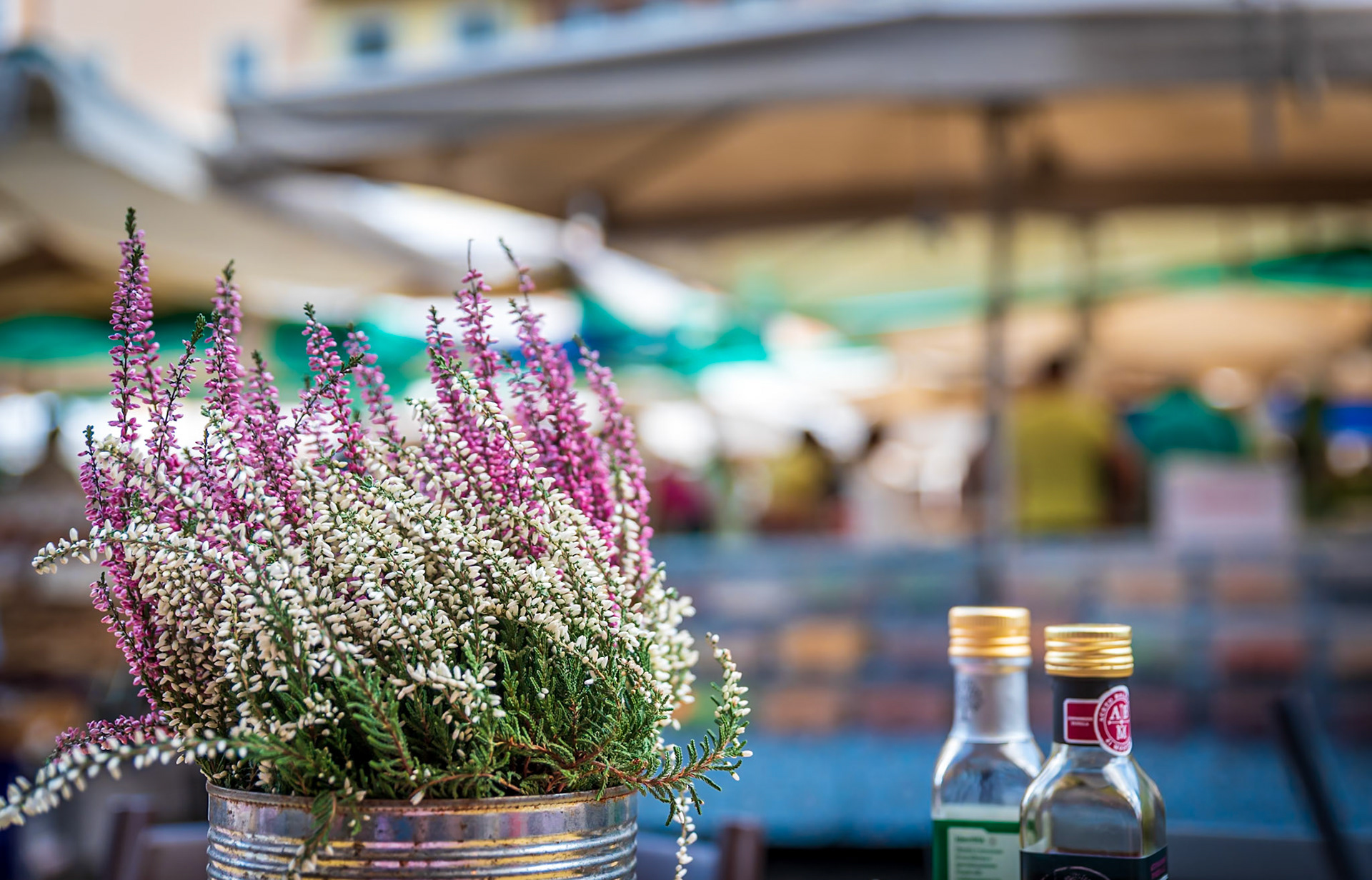 Lunch Overlooking Roma Market, Campo de' Fiori