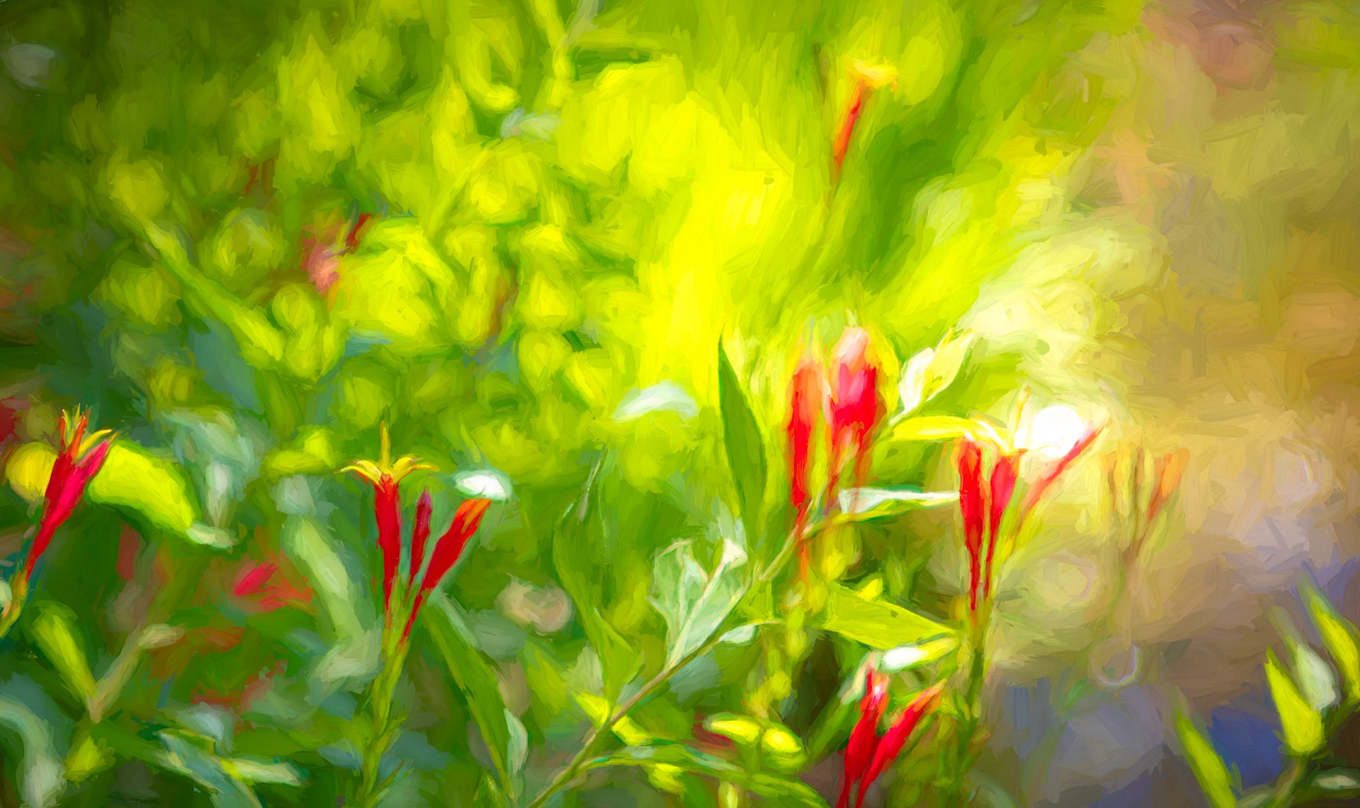 INature's Radiance - Indian Pink aka Spigelia marilandica, captured at Shaw Nature Reserve