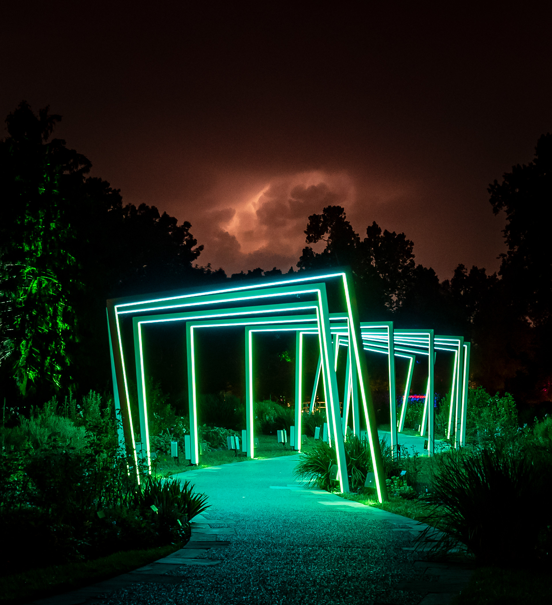 Another BOGO with Mother Nature's Contribution