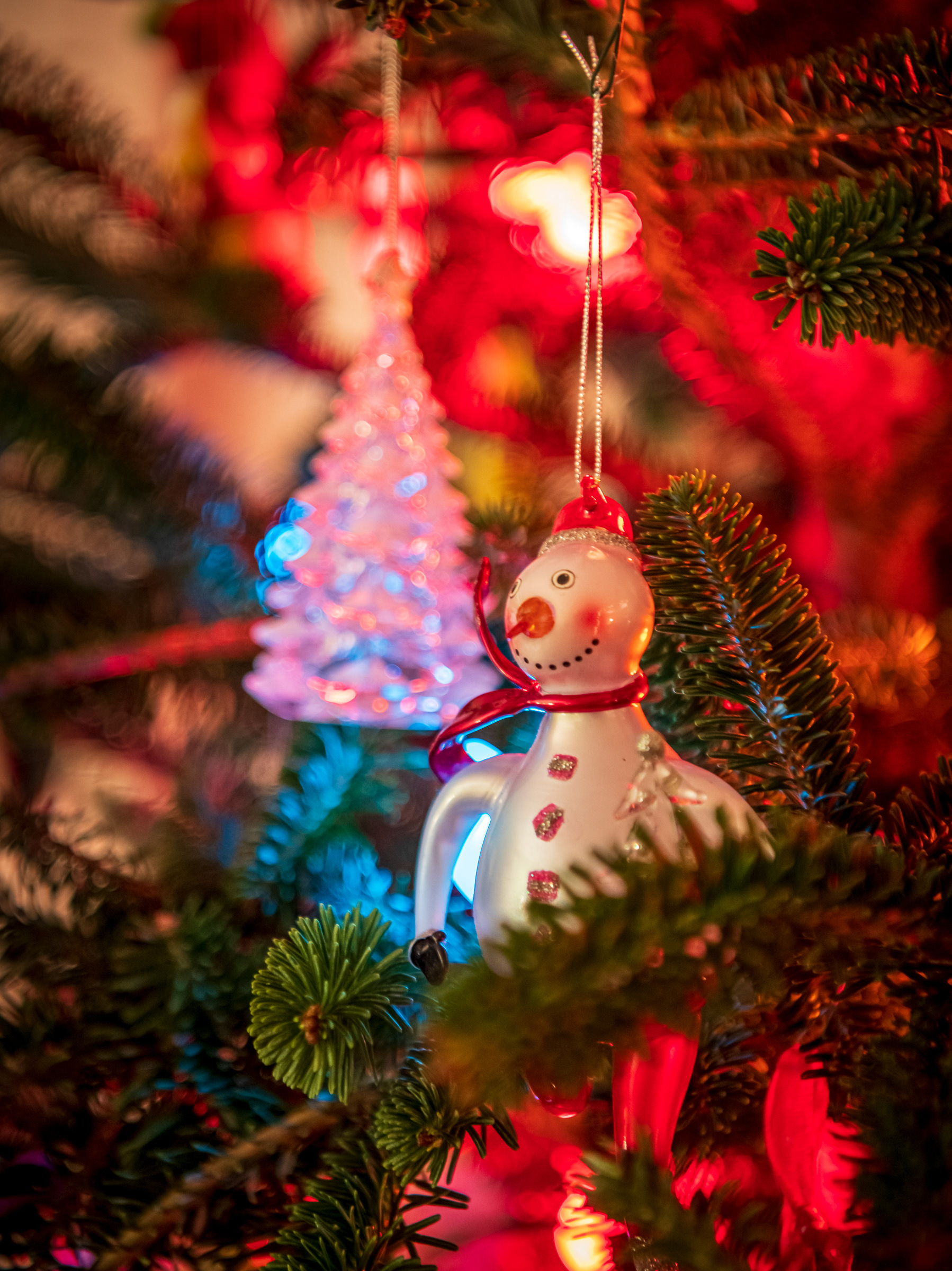 ​​​​​​​Merry Christmas!