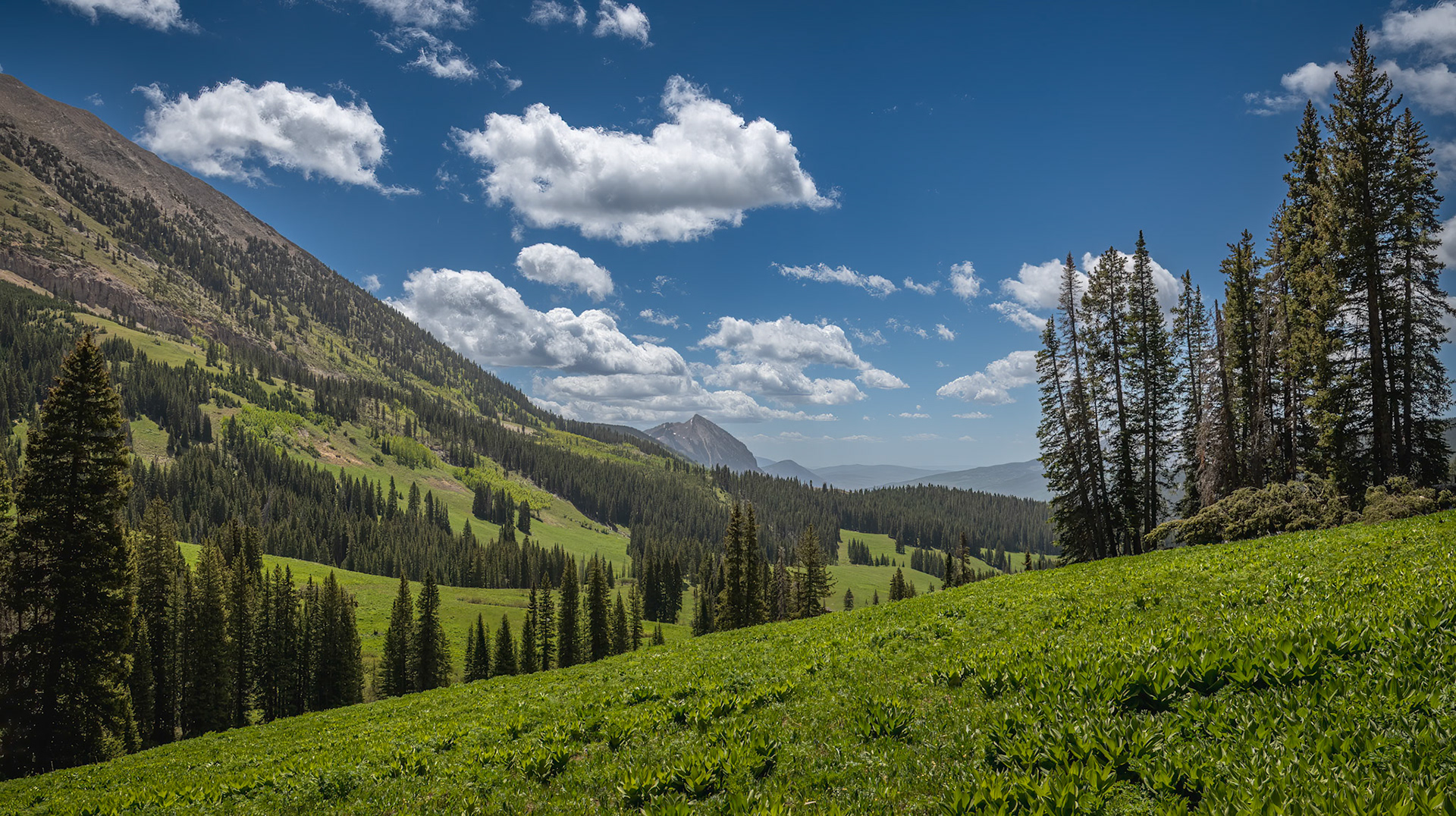 Alpine Splendor - Spring in the Colorado Rockies near Crested Butte