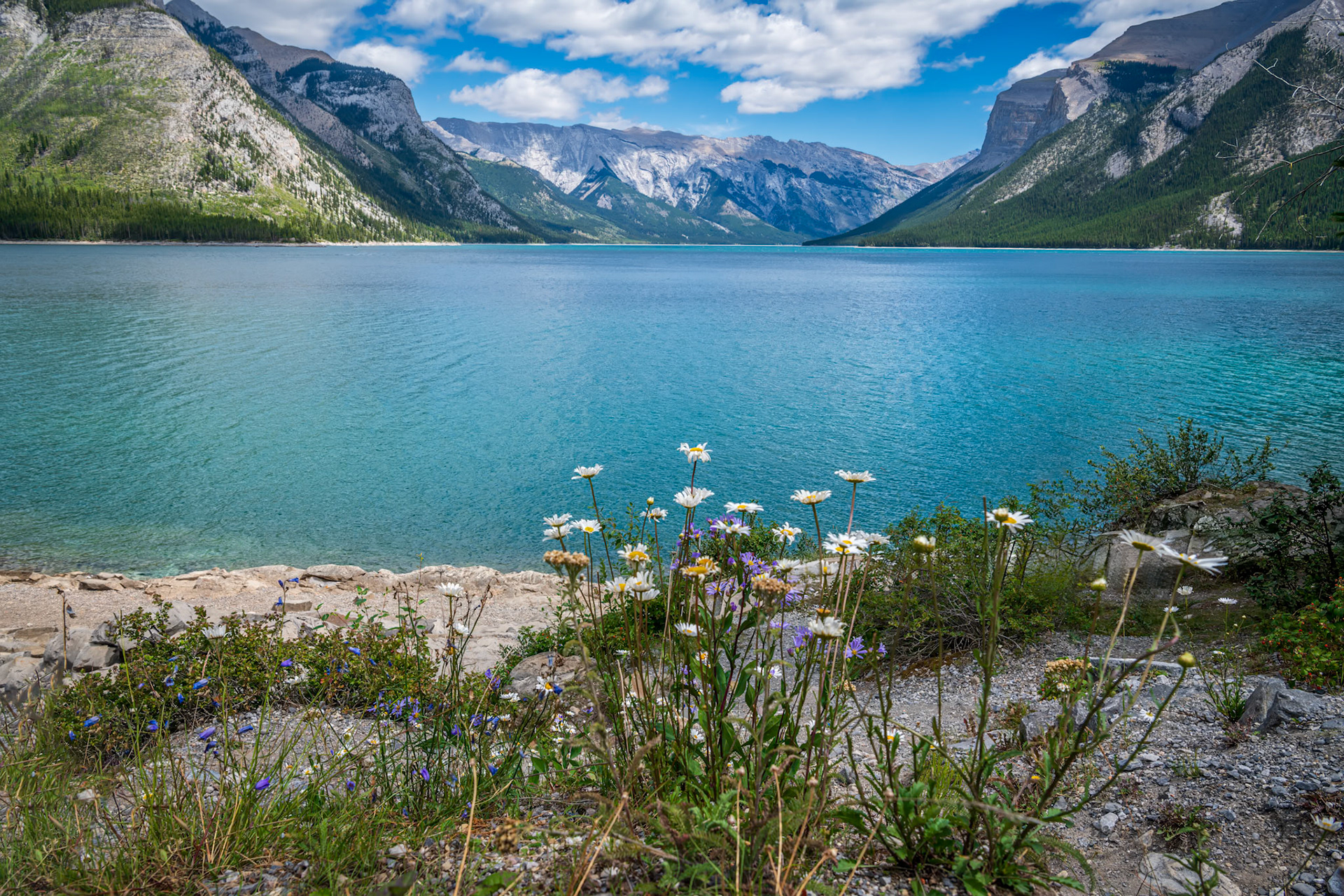 Panorama Of Colors - Lake Minnewanka
