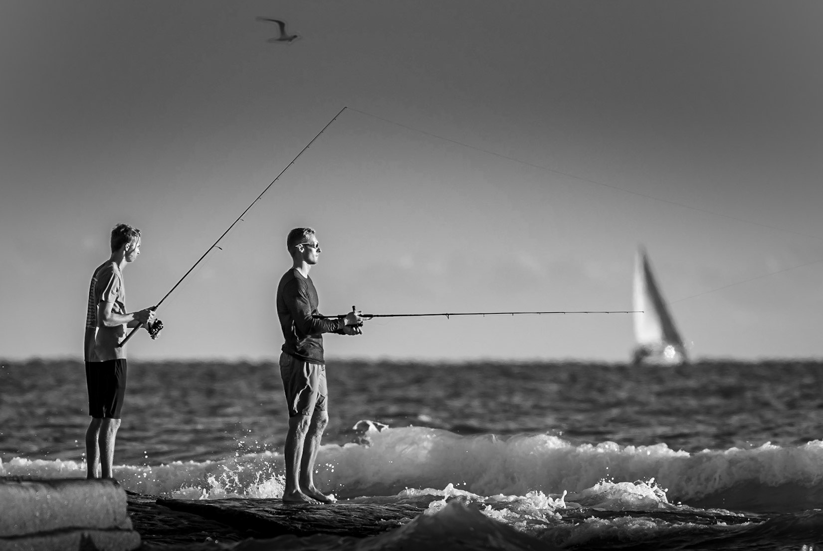 Soaring Sailing Fishing In The Gulf