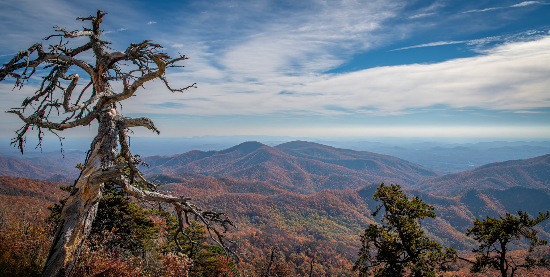 Homage To Fall - A late fall shot on the Blue Ridge Parkway