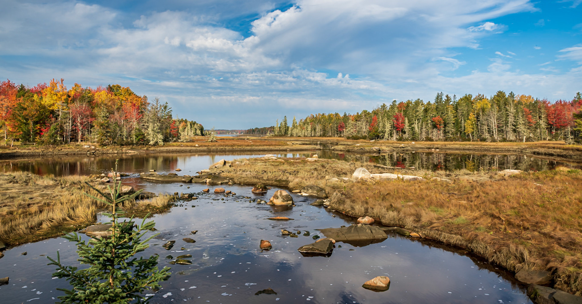 Autumn At The Mt Desert Narrows - On Mt Desert Island near Bar Harbor, Maine