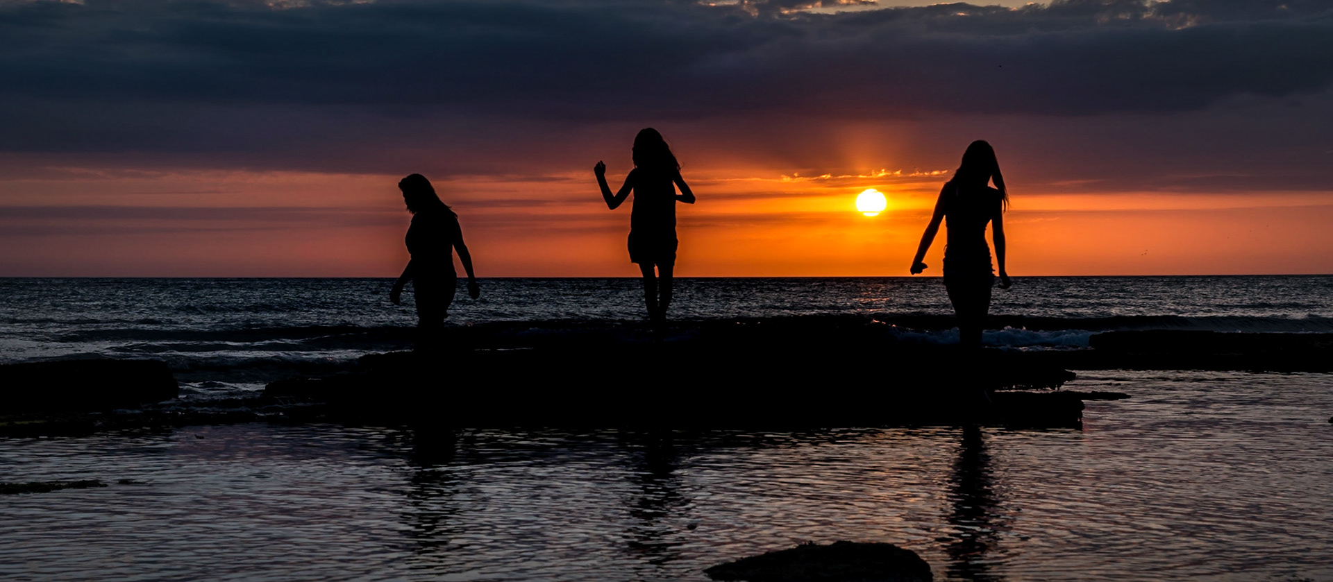 SDancing Silhouettes  - unset on Siesta Key