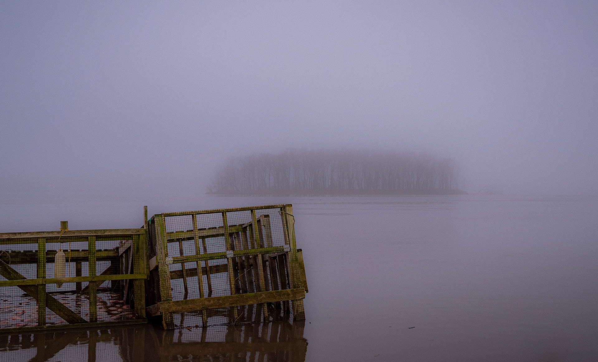 Foggy Morning On The Mississippi