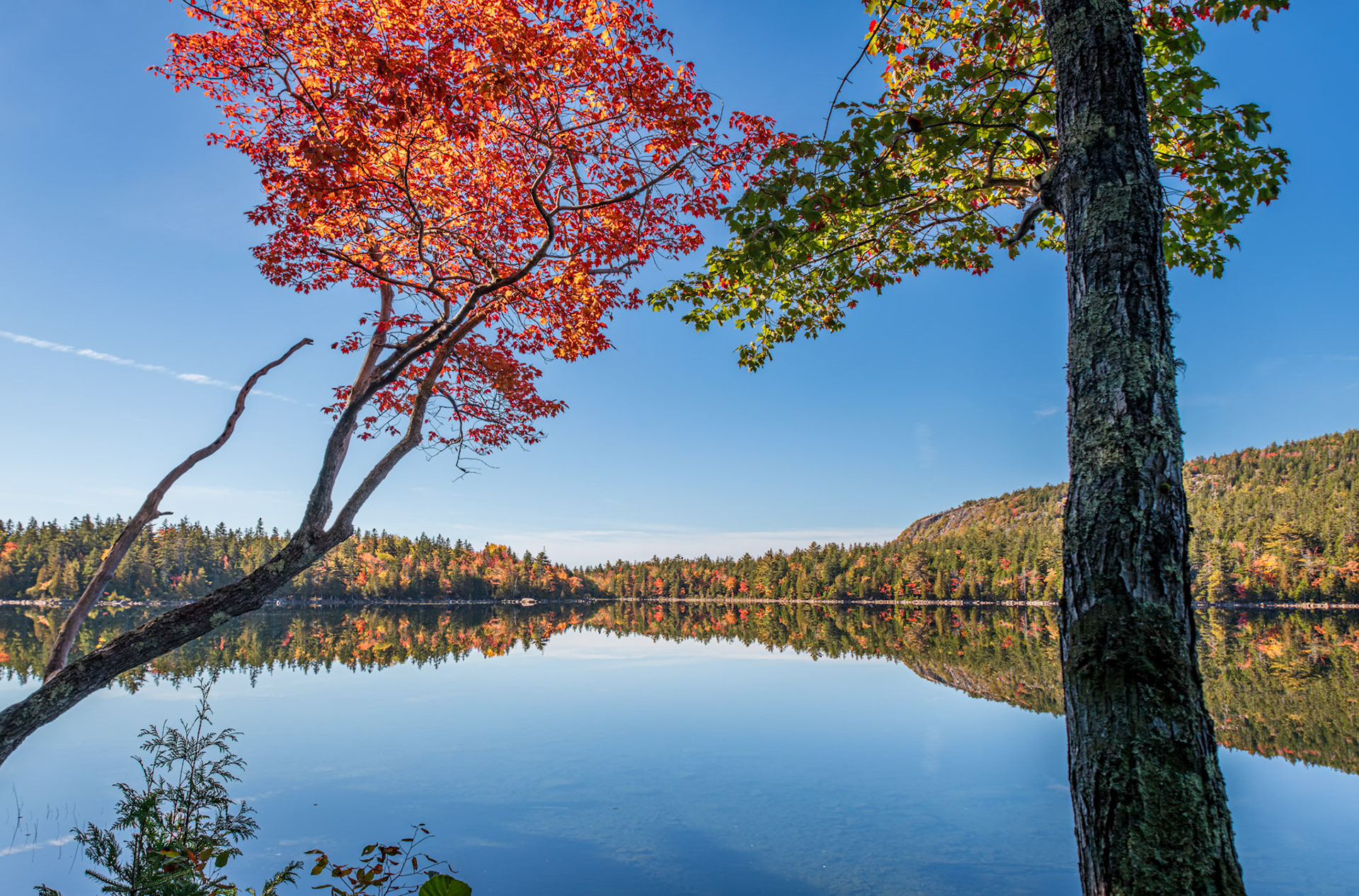 Autumn Delights on Jordan Pond - Acadia National Park