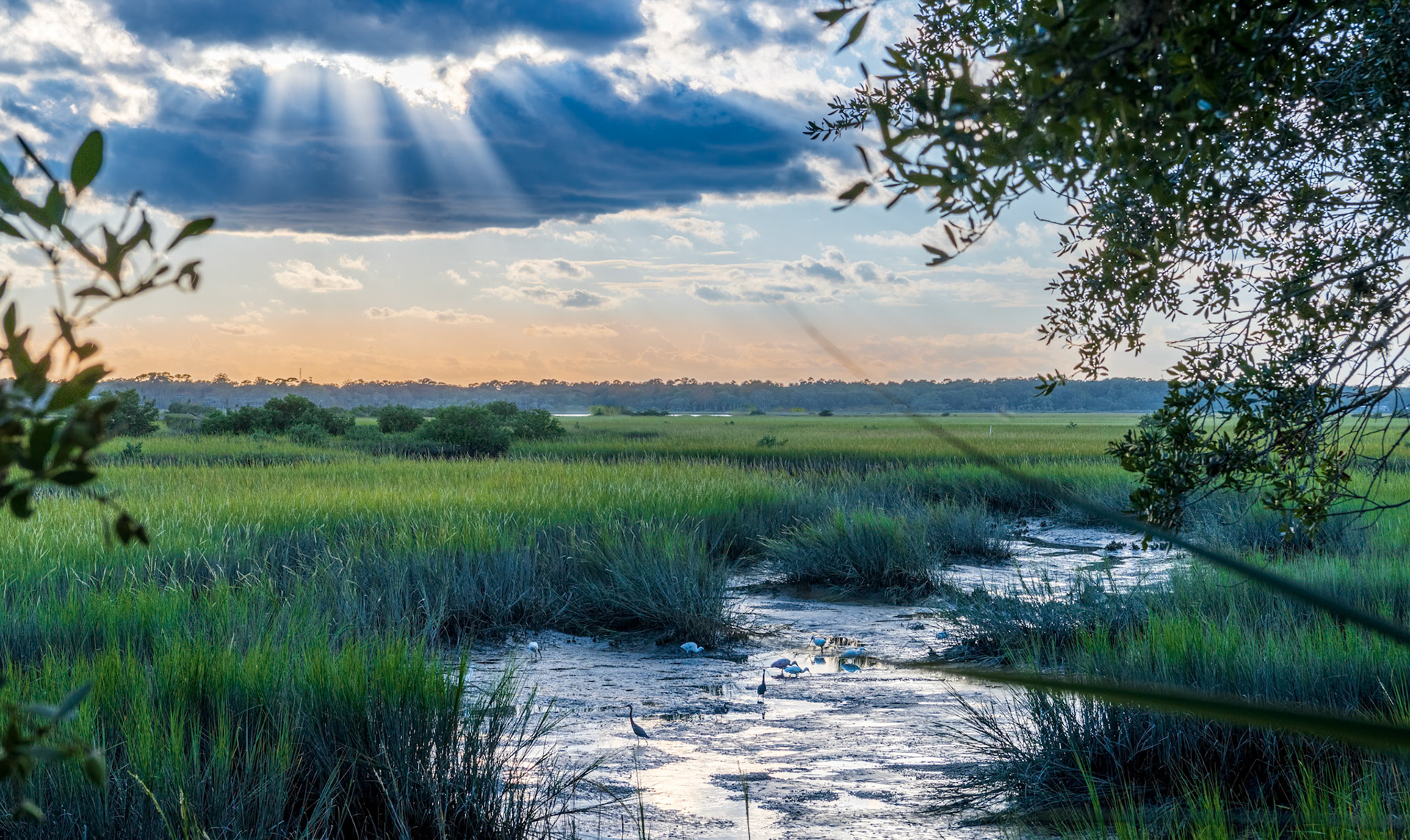 St Augustine Sunset - Sunset descending over Anastasia Island and St Augustine Florida.  Captured from Salt Water Cowboys overlooking the island estuary