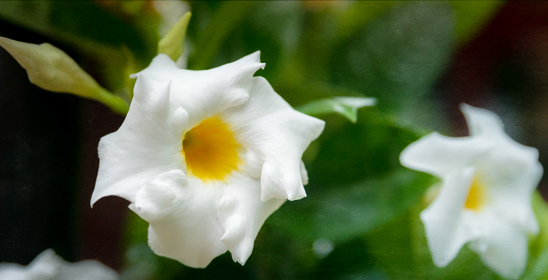 Captured at Montage Palmetto Bluff South Carolina