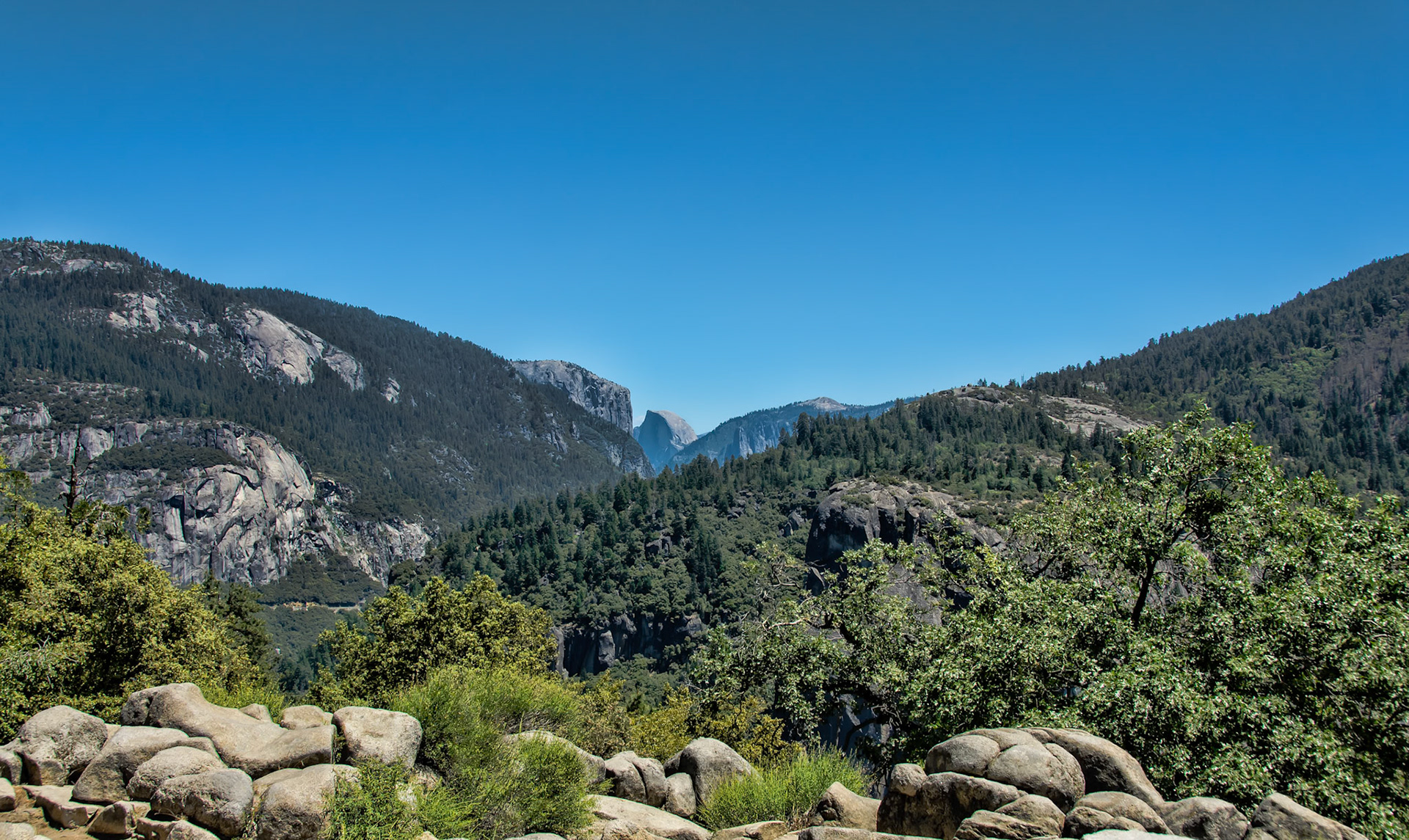 Half Dome Vista